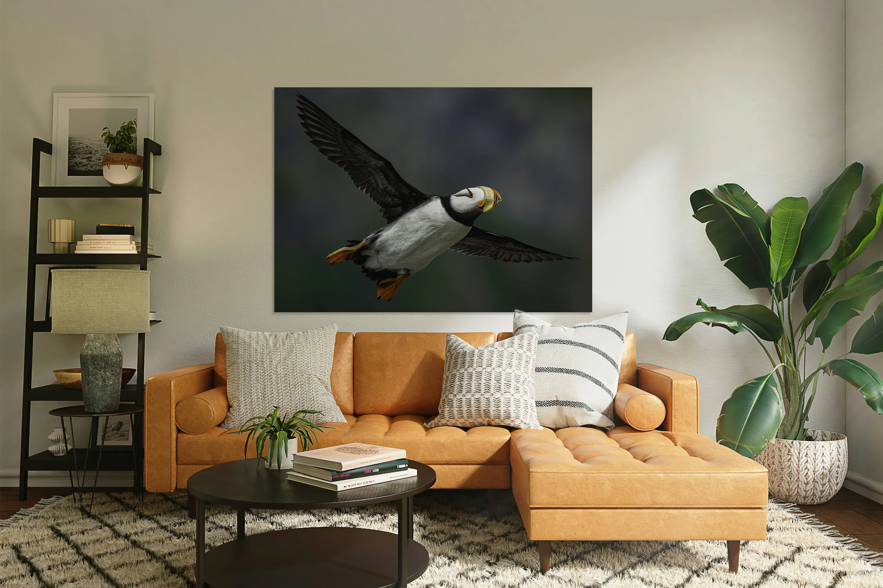 Horned Puffin - Easing On Down