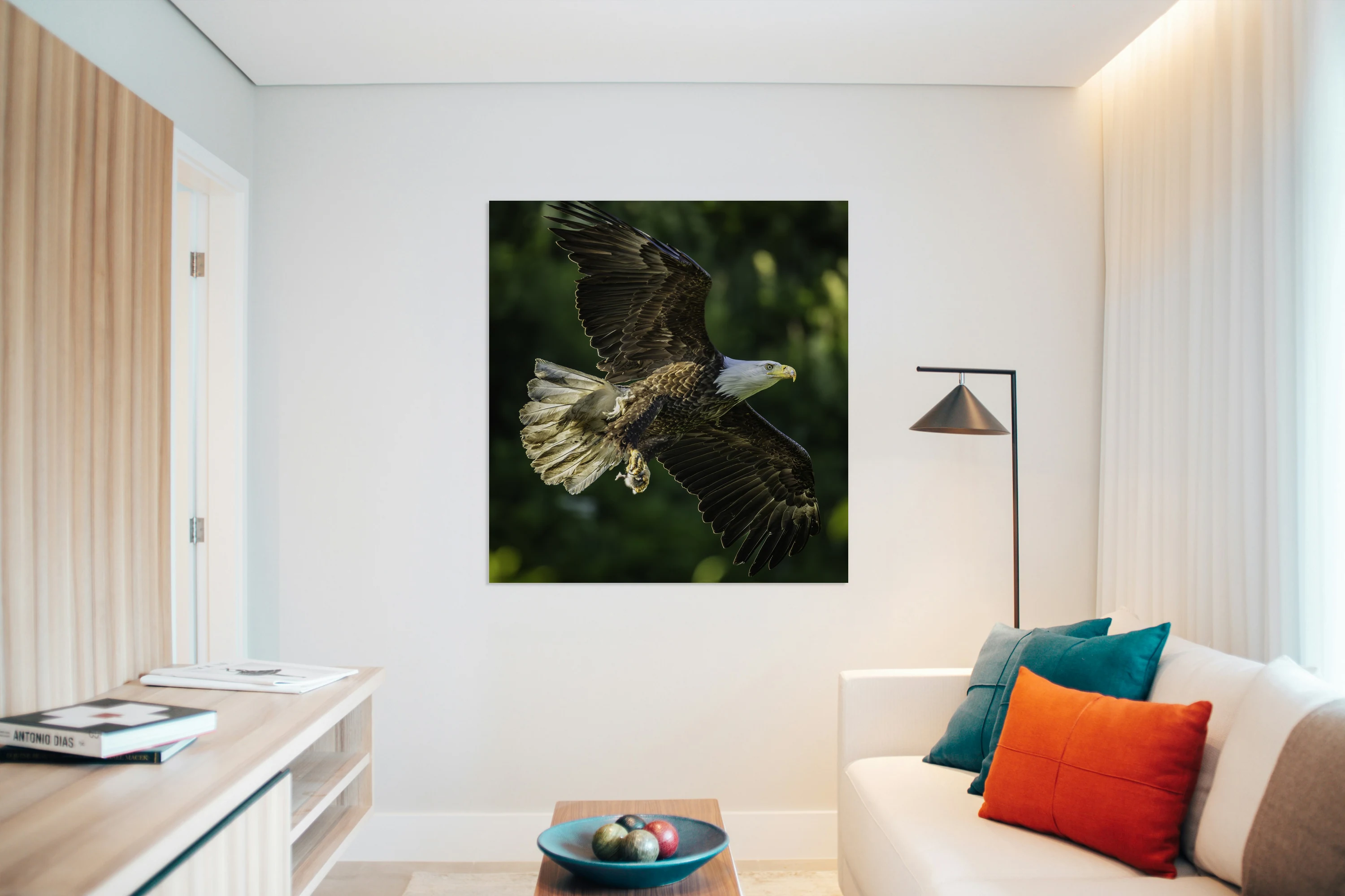 Bald Eagle - Dinner Delivery