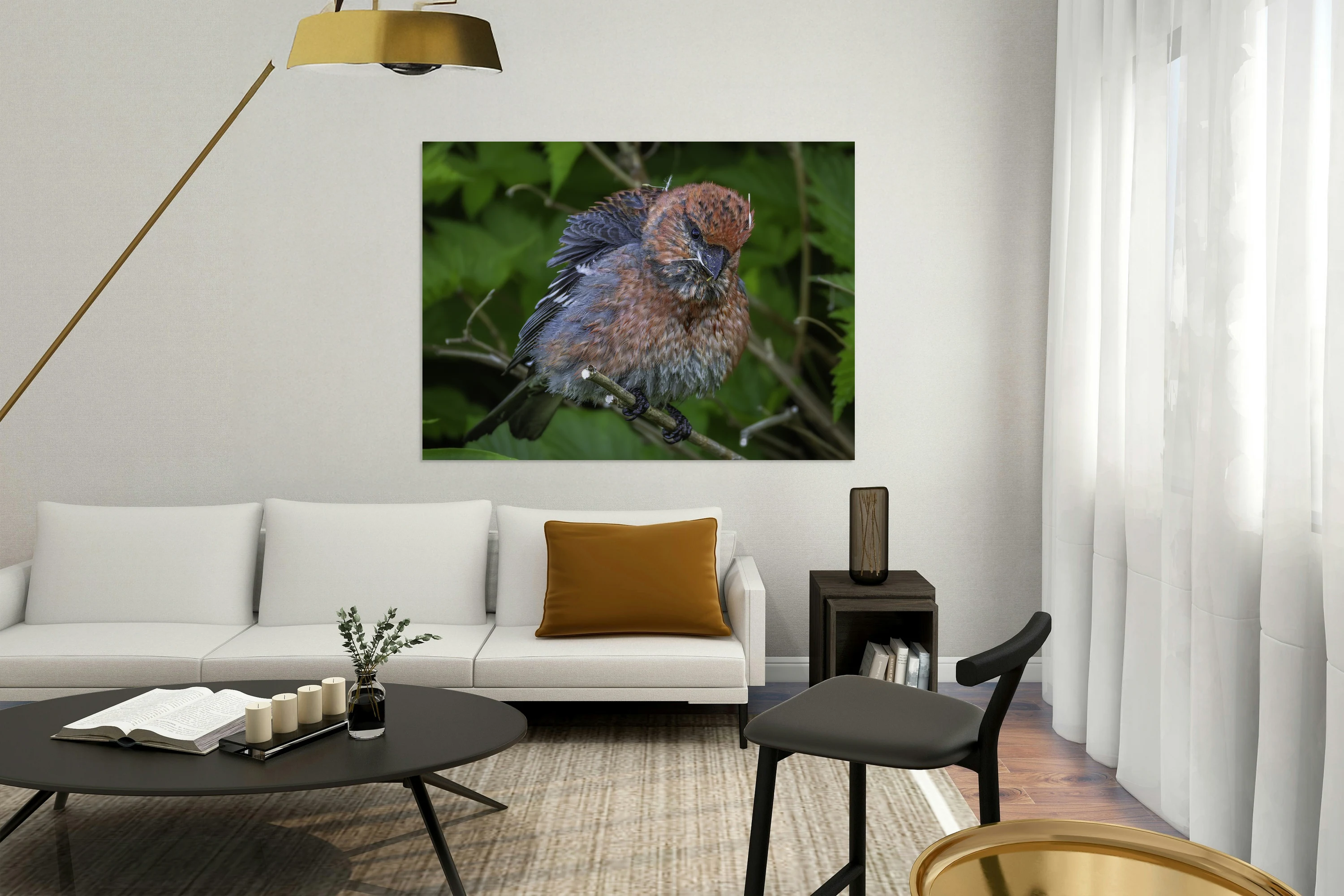 Pine Grosbeak - Fluffy