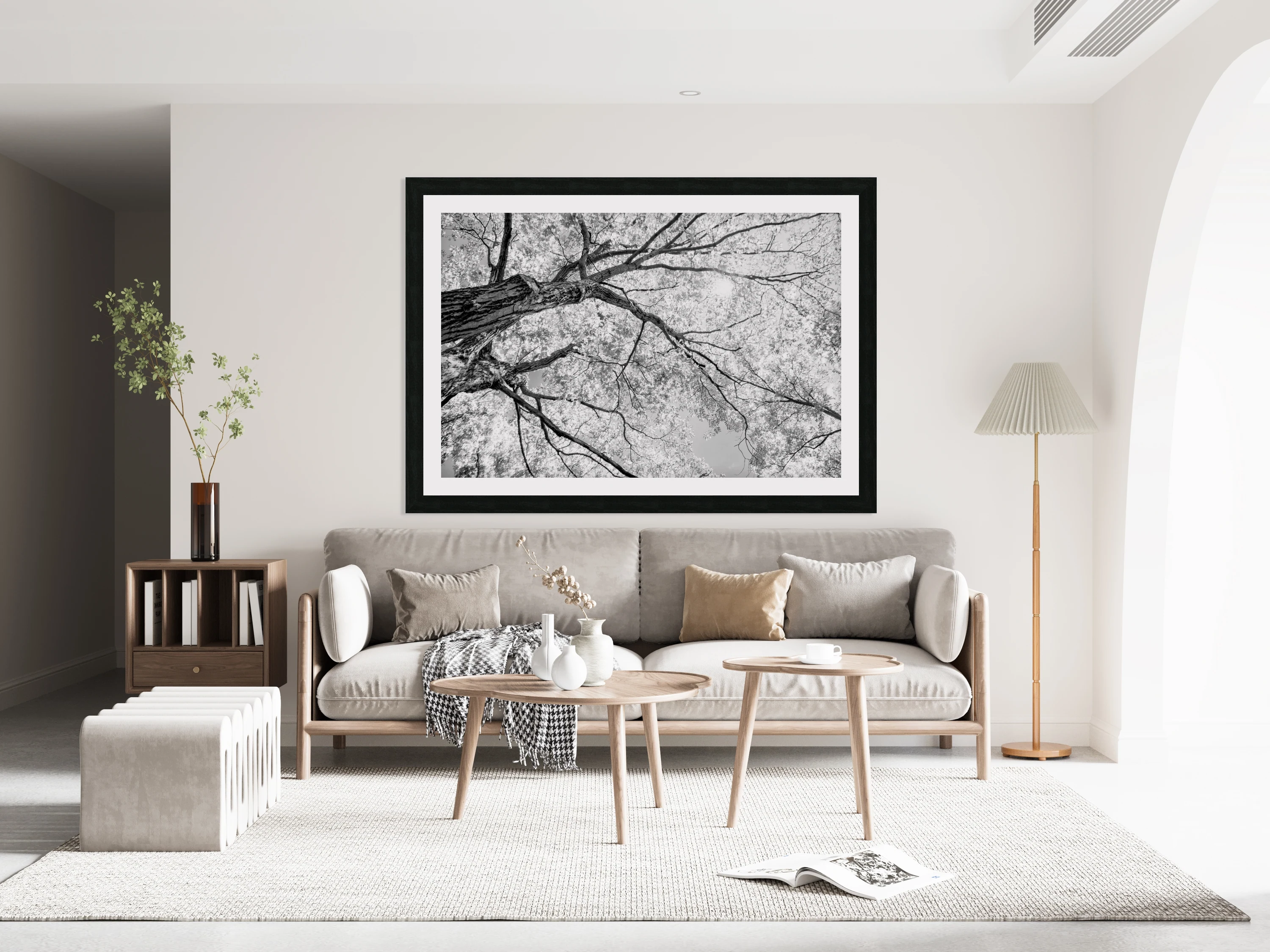 Tree Branches in Light