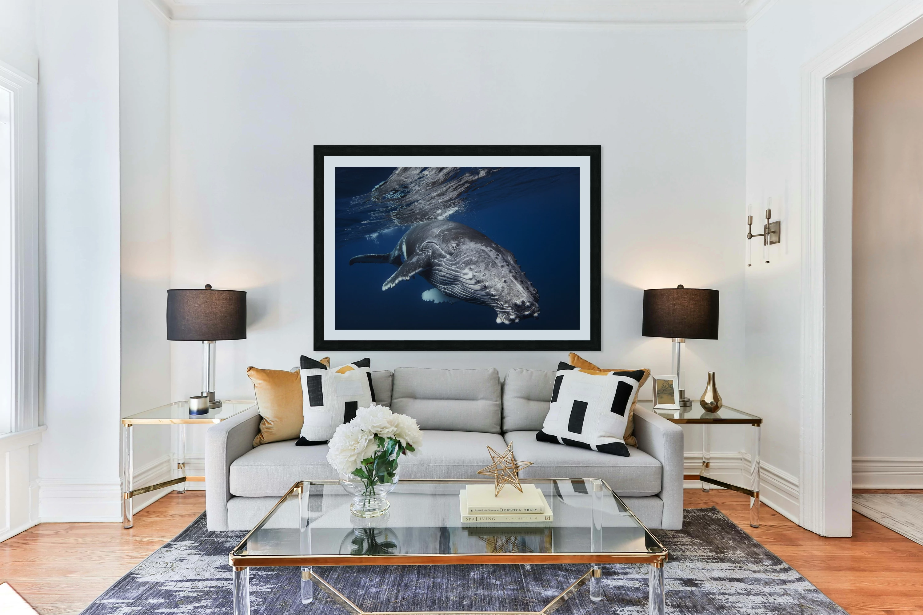 Humpback Whale
