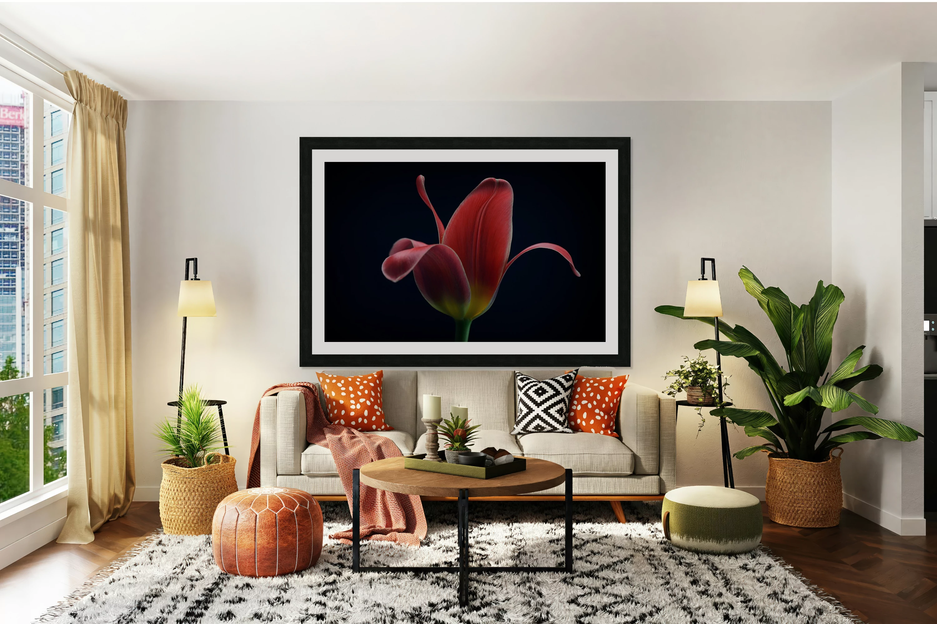 First Tulip
