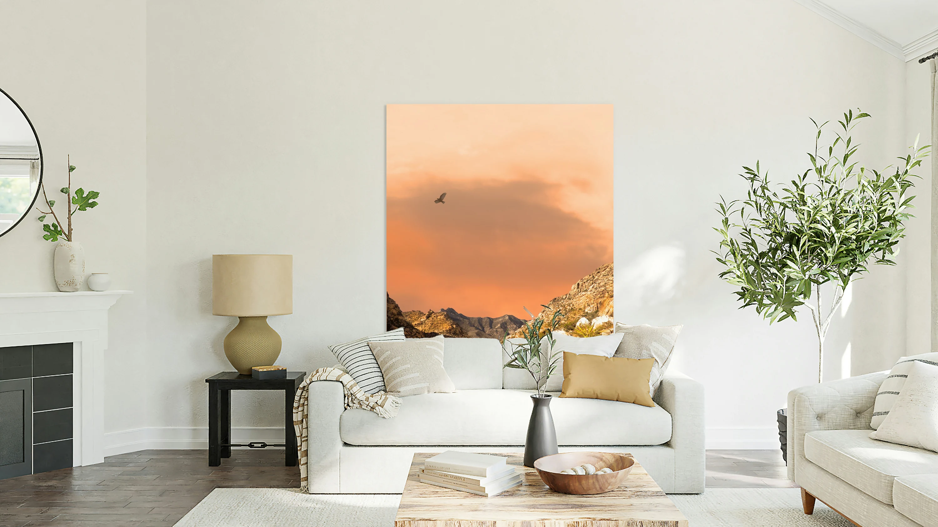 Desert and Mountains