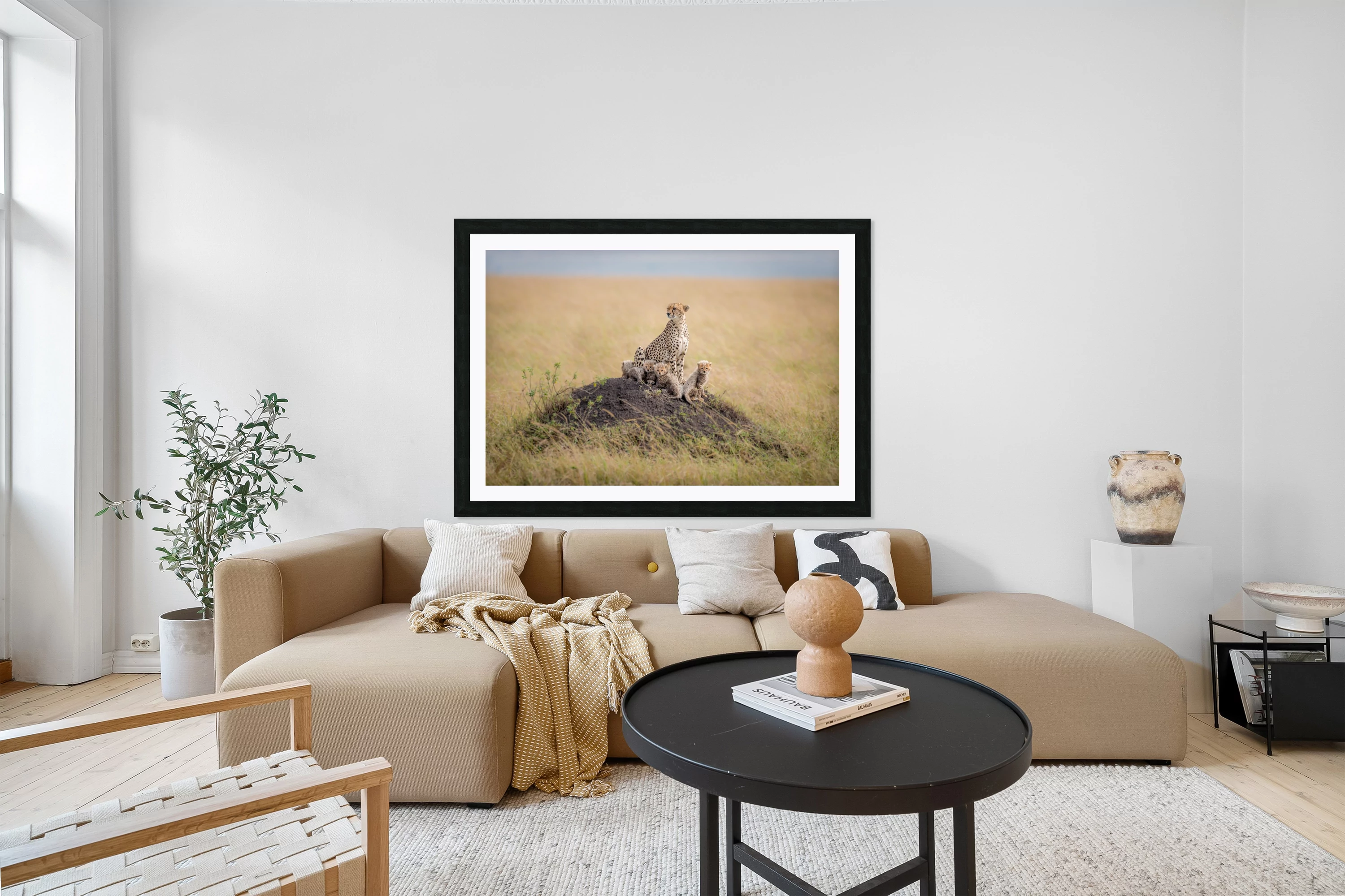 Regal Protector by Ted Taylor 