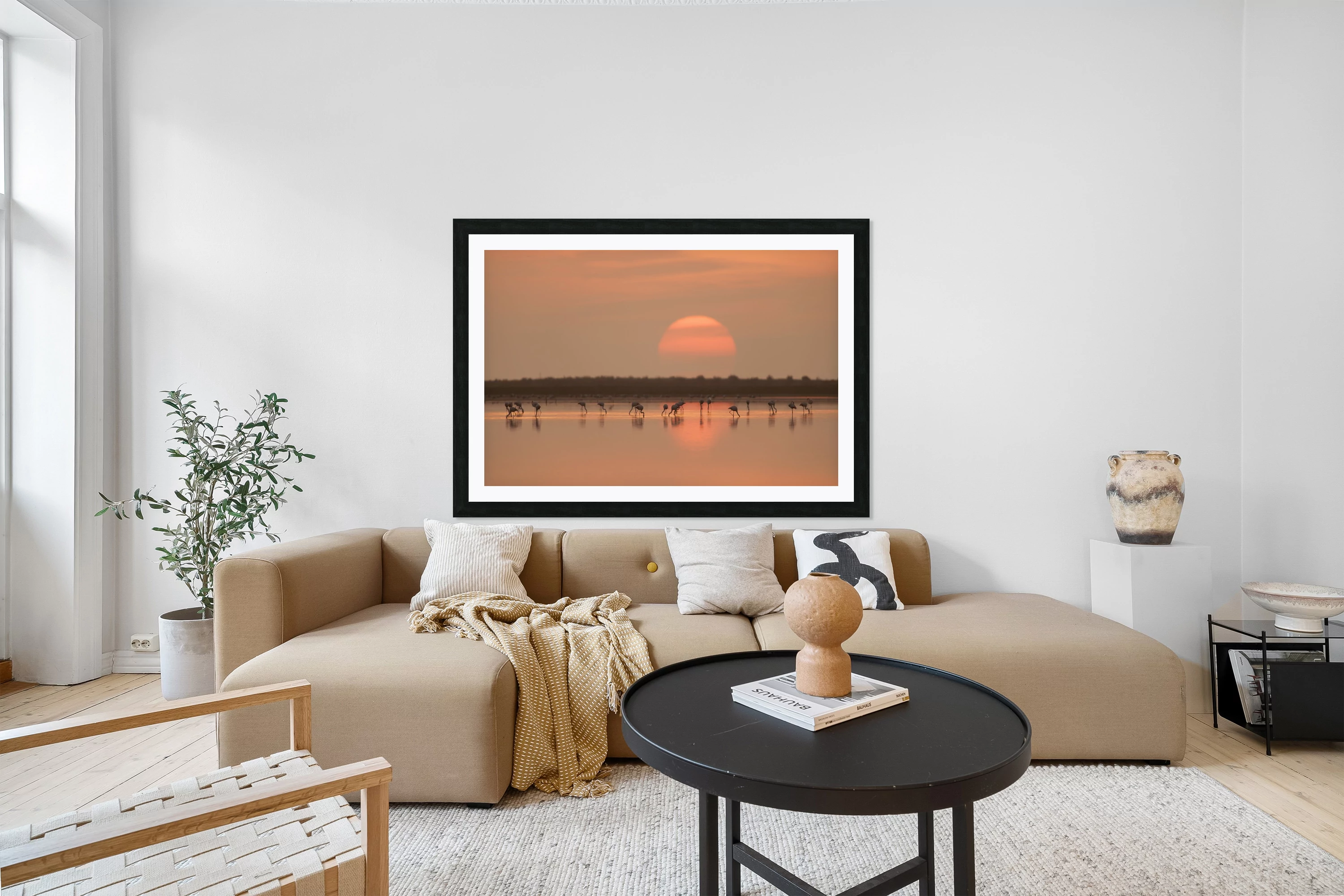 Flamingos at Sunrise