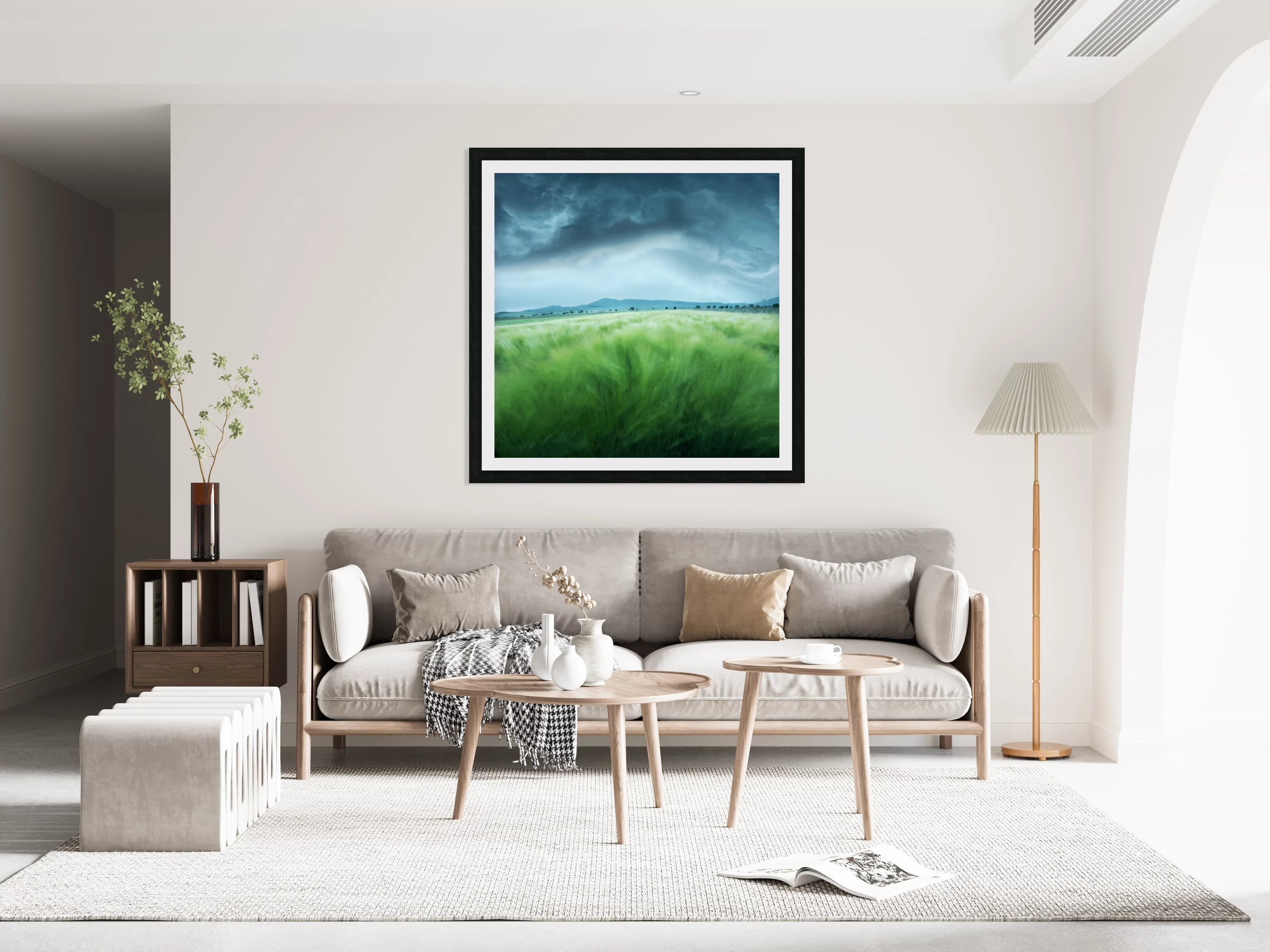 Barley Field