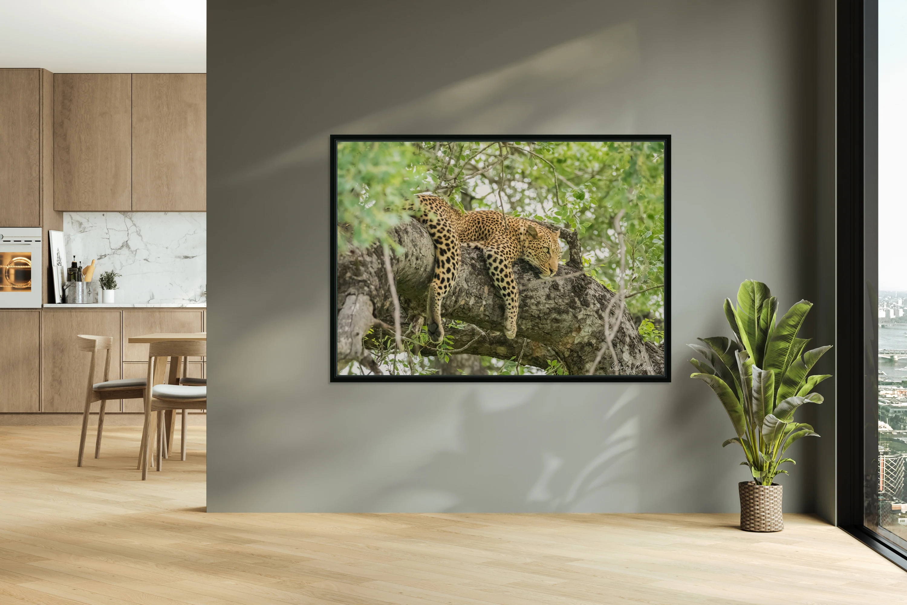 Leopard in a tree