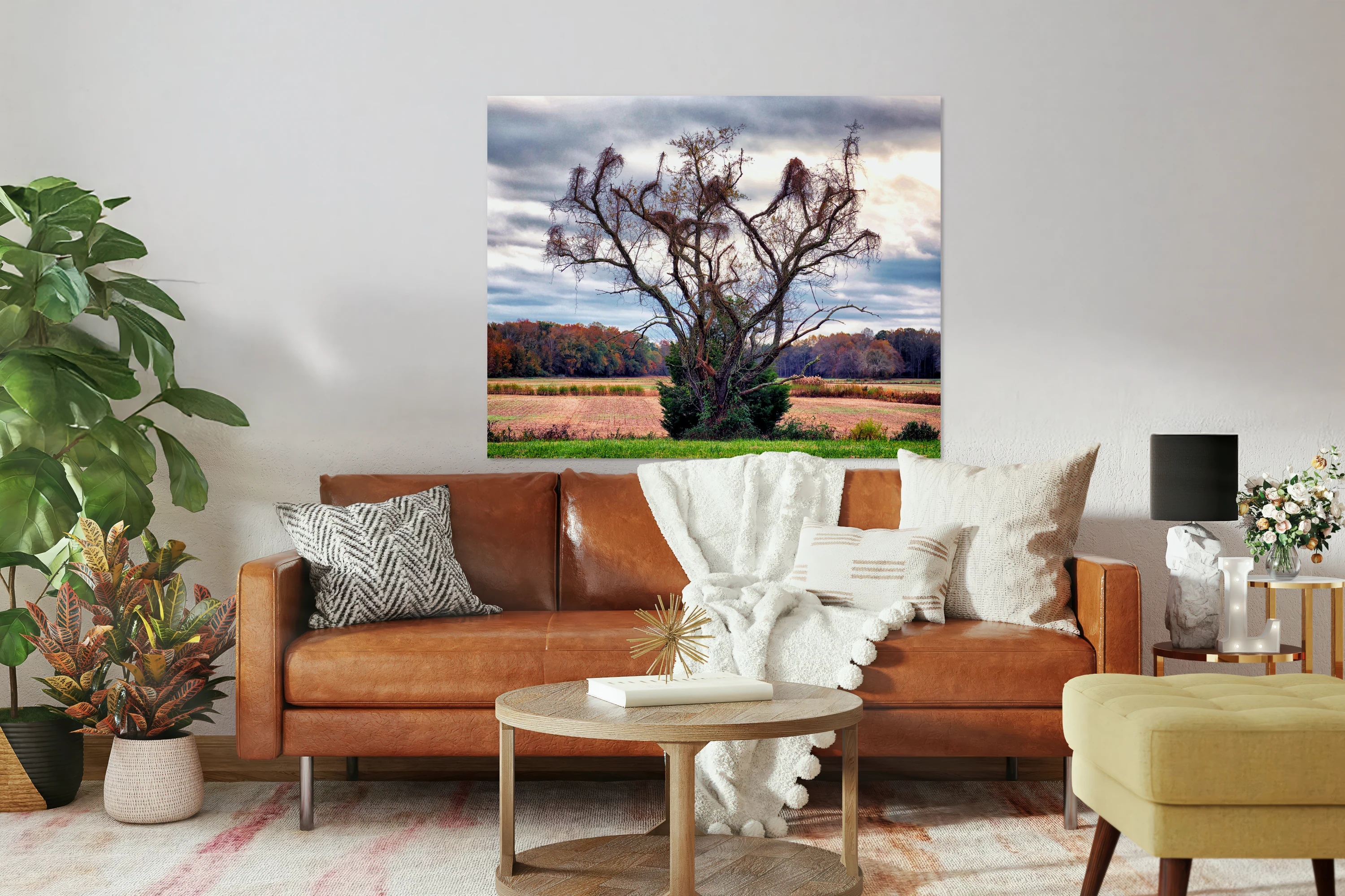 Magic Tree in Roxana Delaware