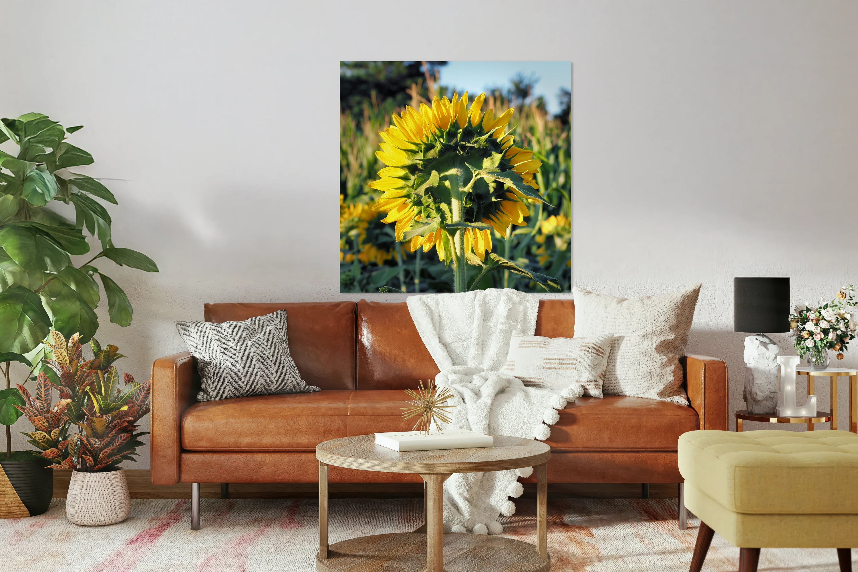 Sunflower Backside 7240004