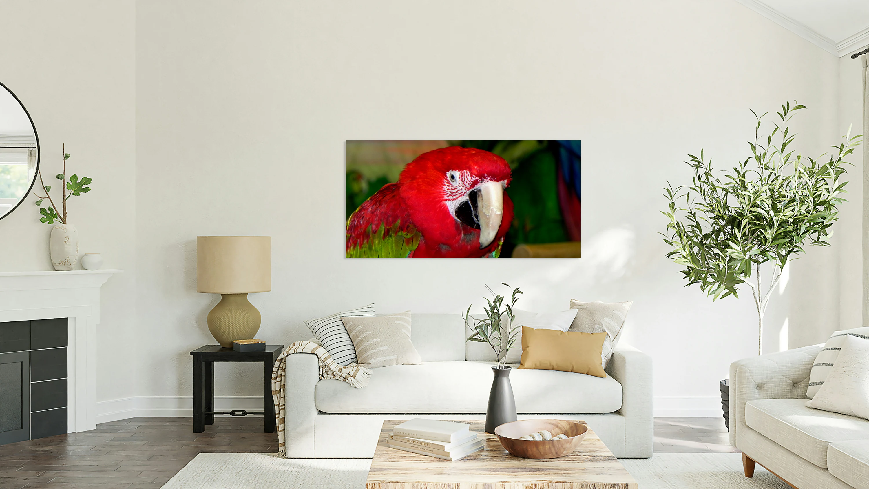 Scarlet Macaw