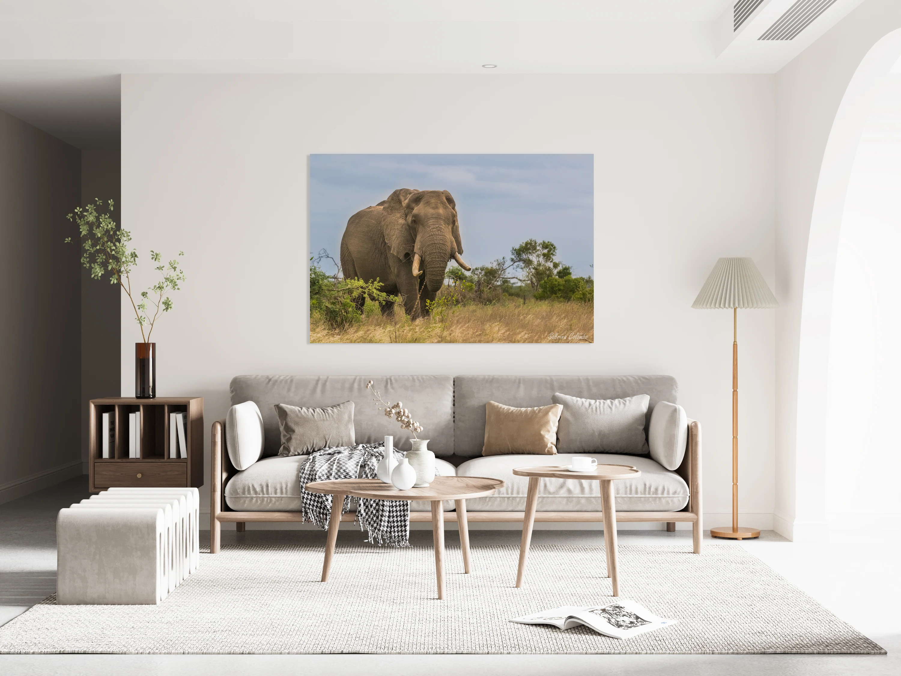 Elephant bull