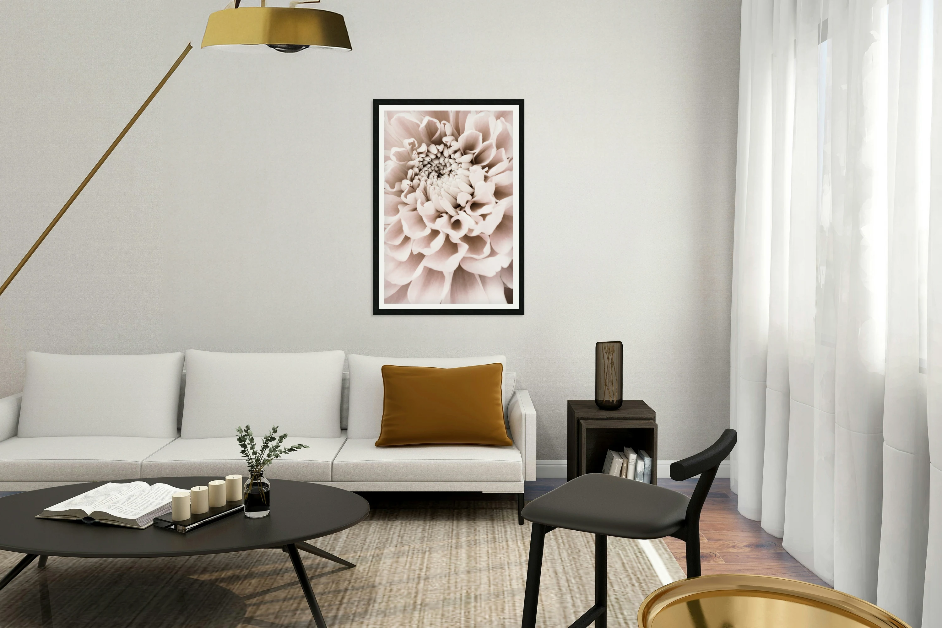 Chrysanthemum No 01