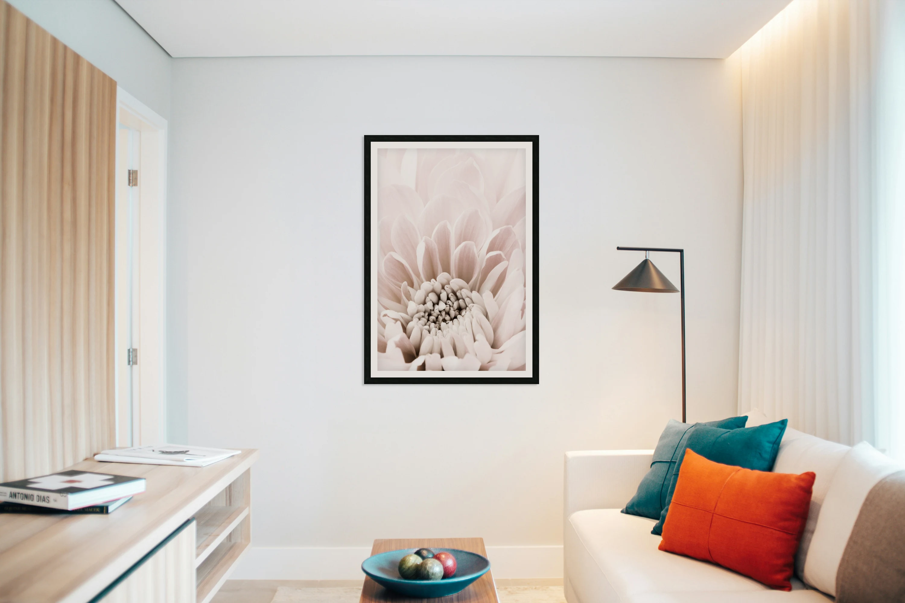 Chrysanthemum No 06