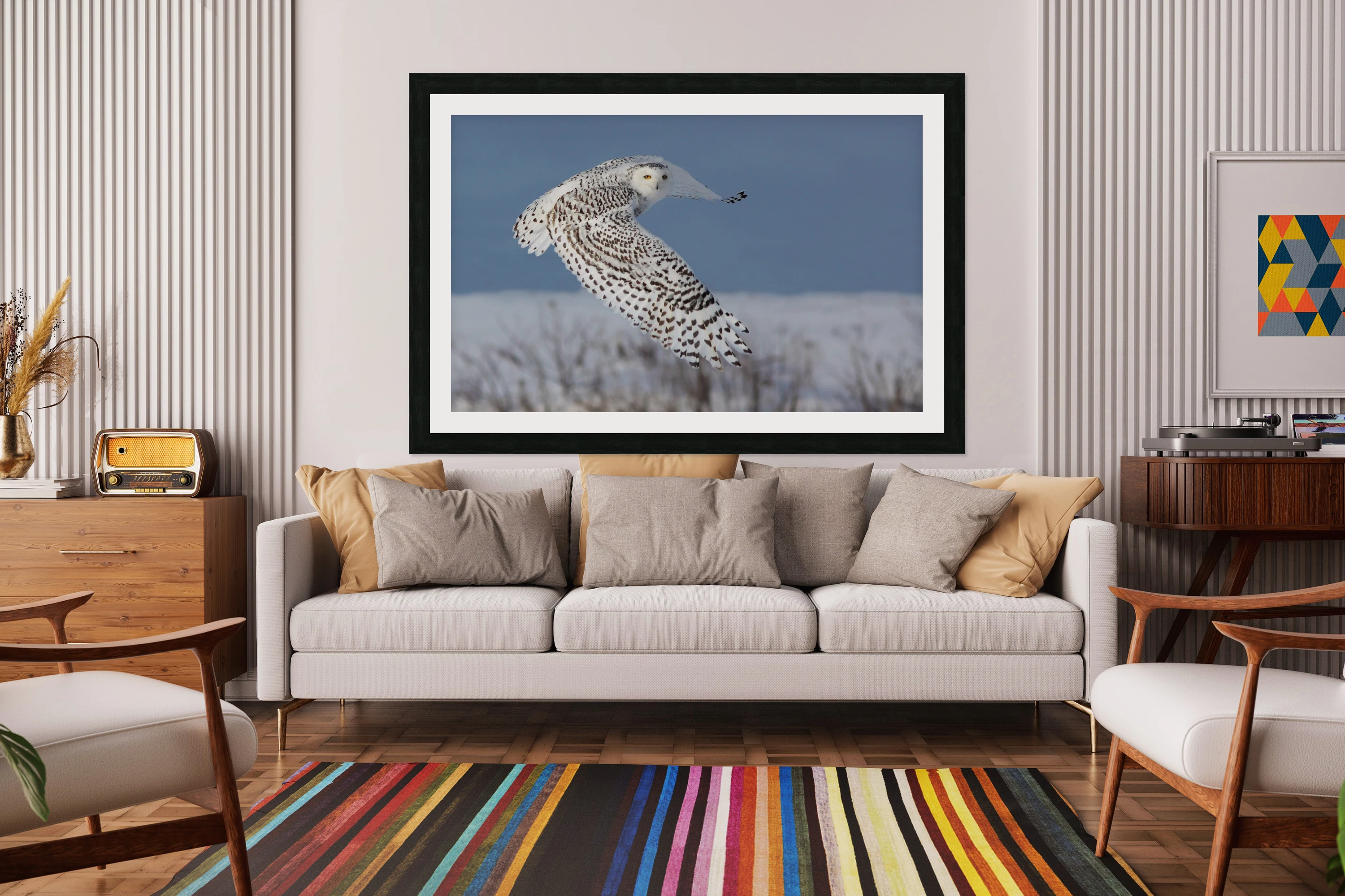 Snowy Owl