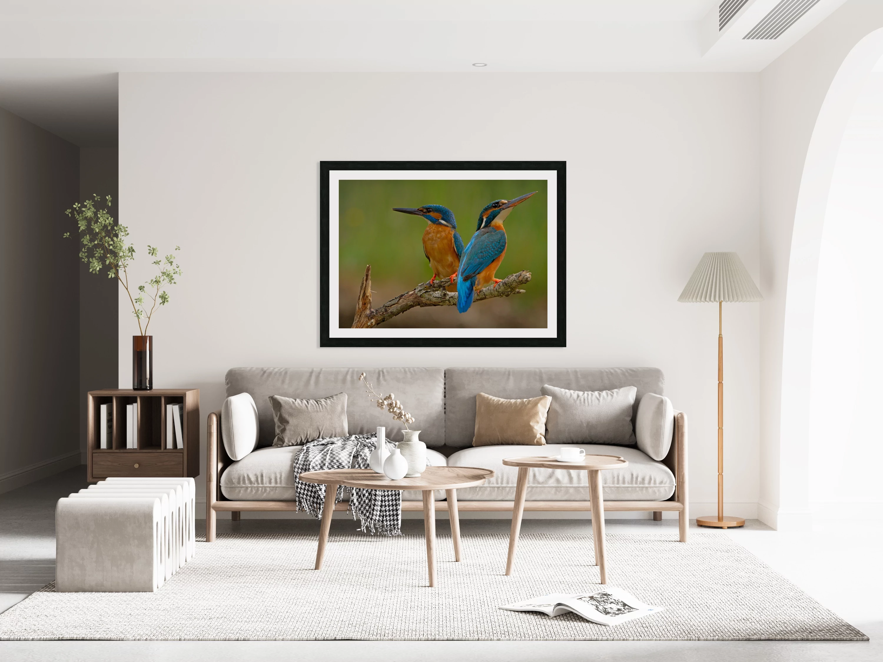 Kingfisher (Alcedo atthis)