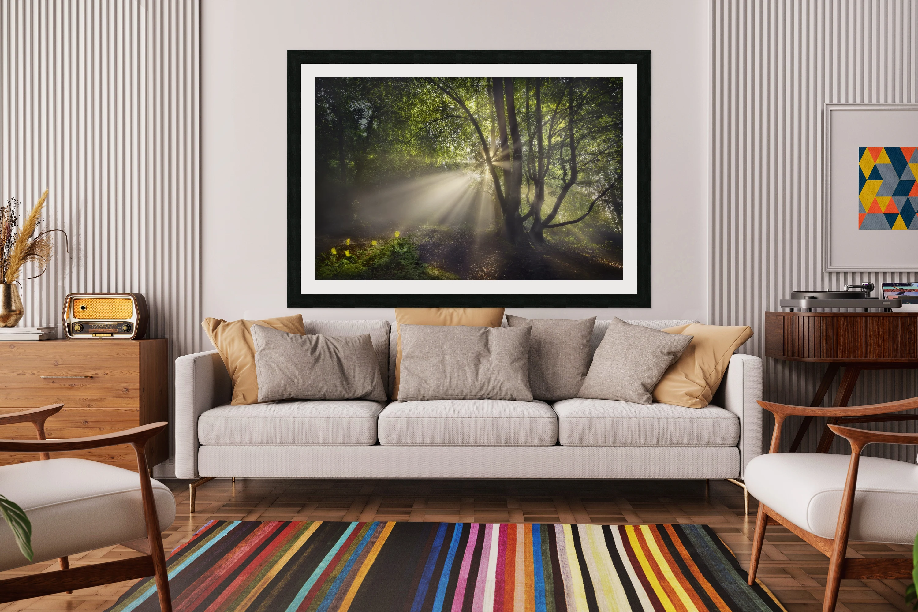 The morning light