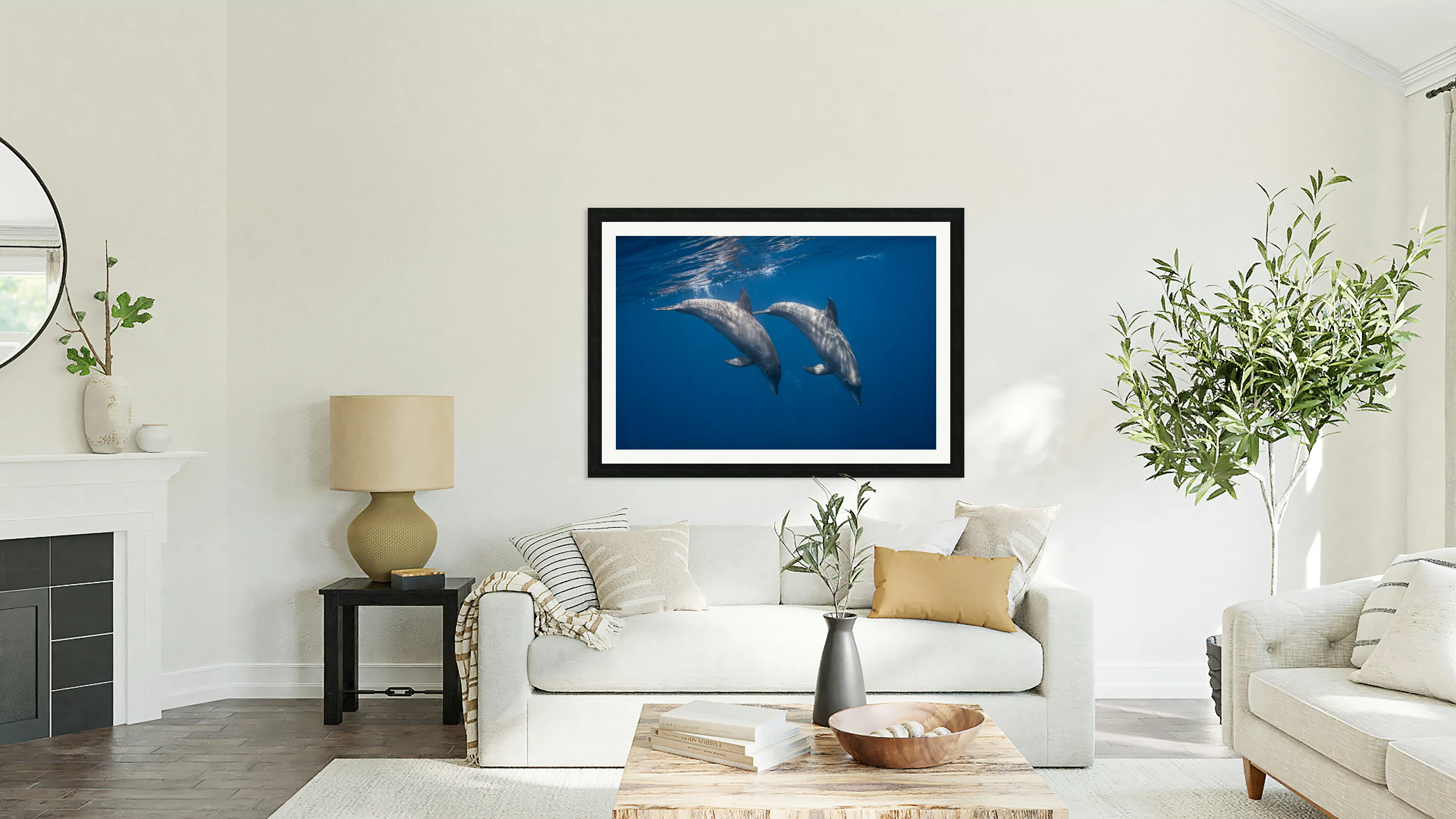 Two bottlenose dolphins
