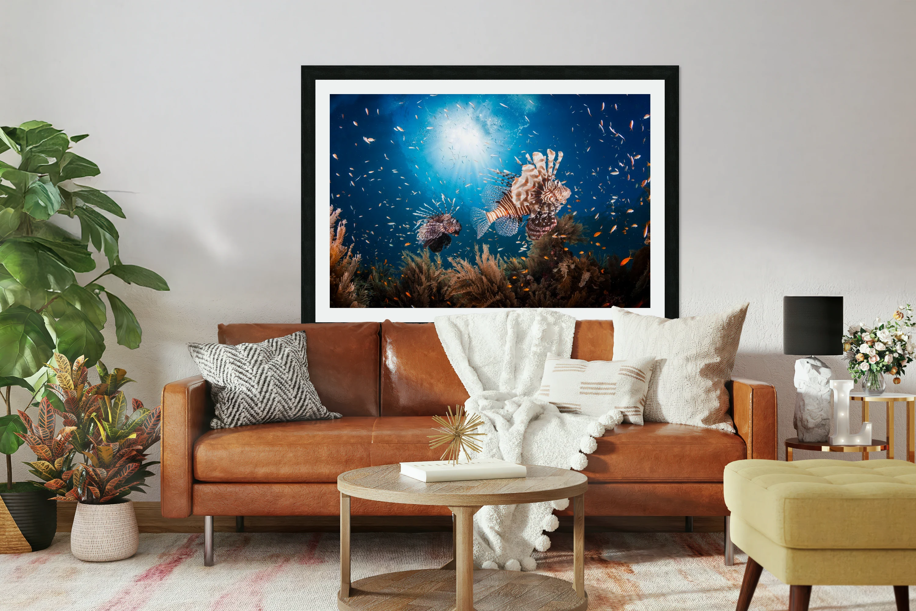 Lionfish