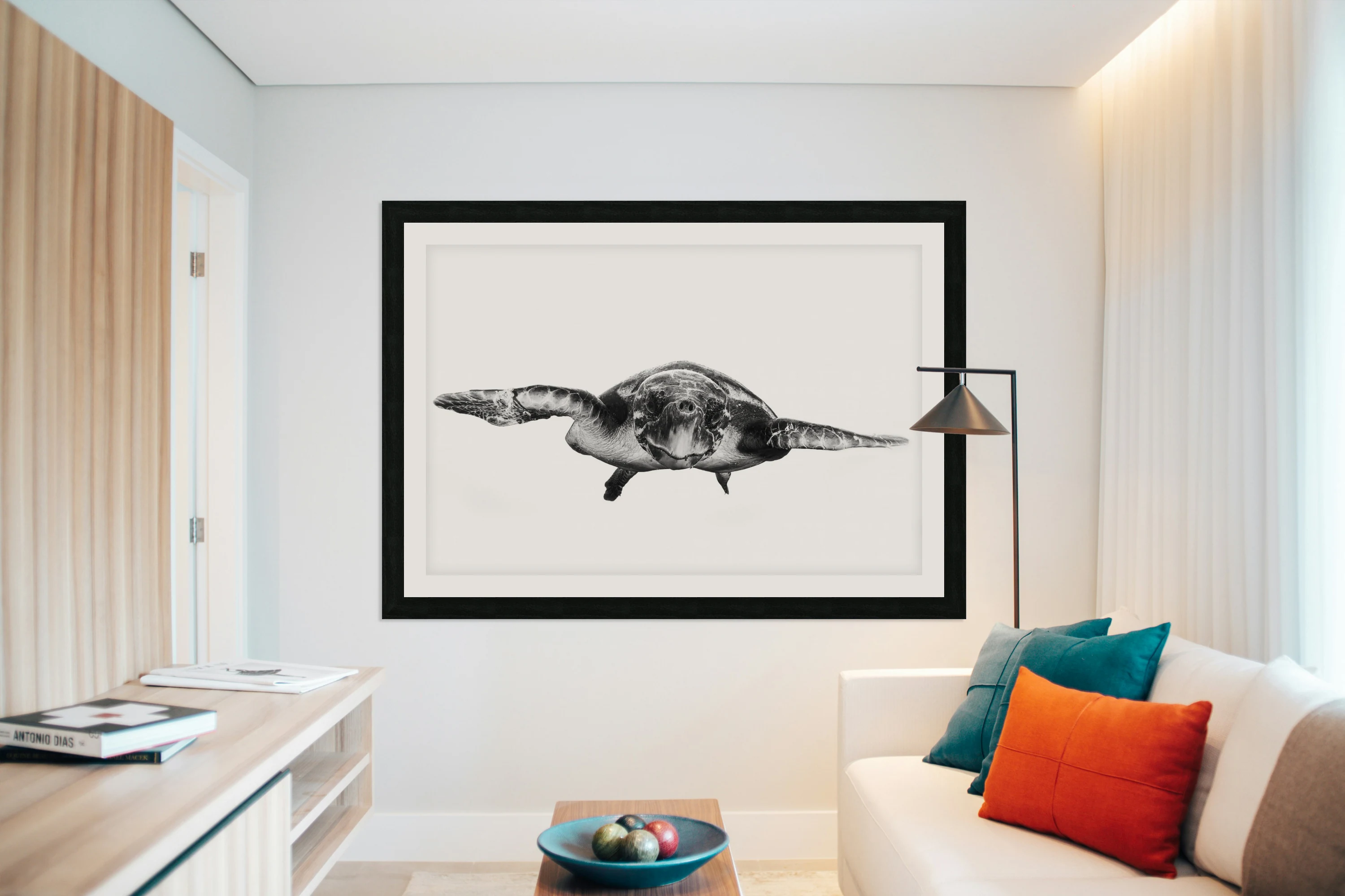 White and turtle