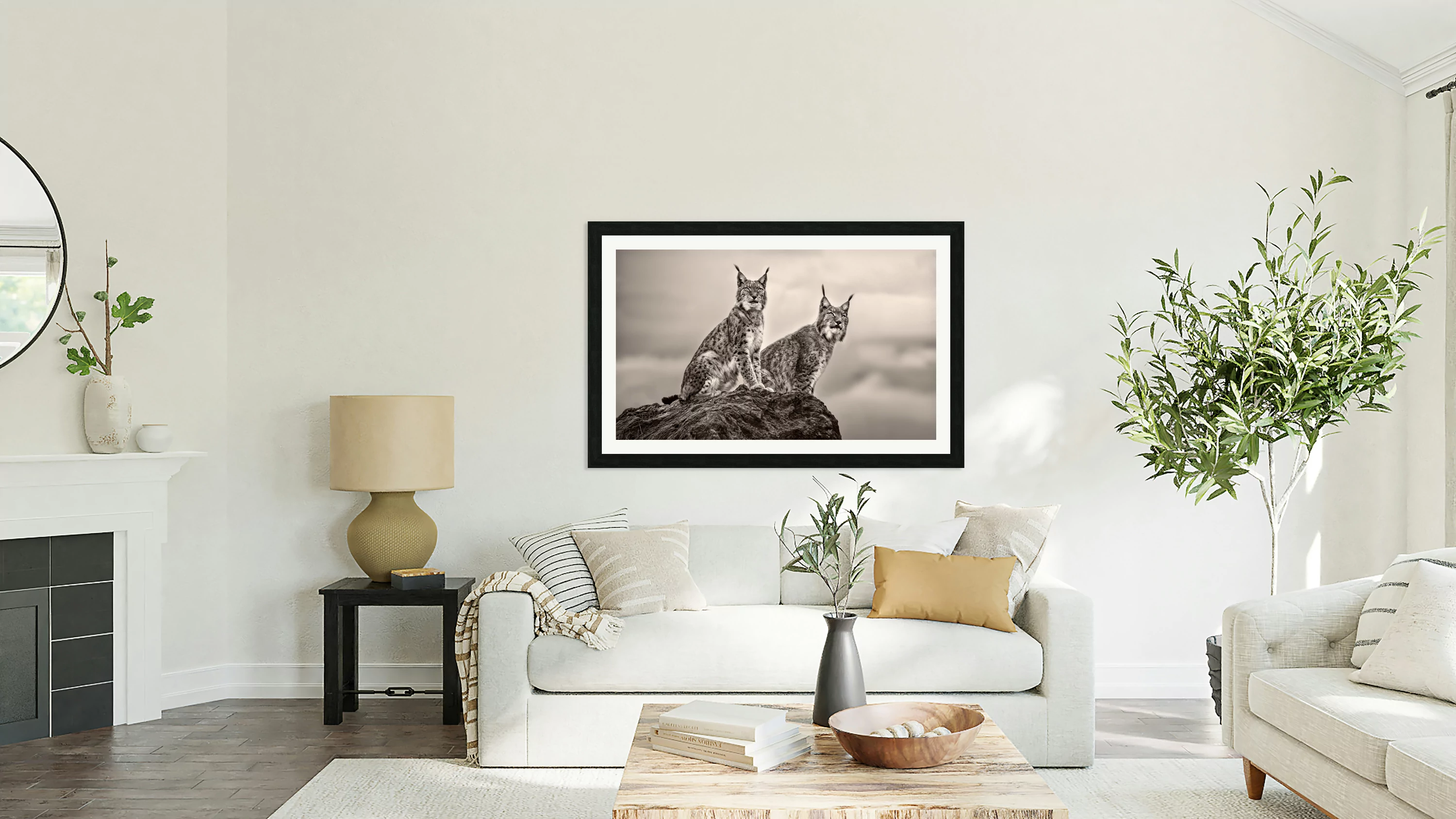 Two Lynx on rock