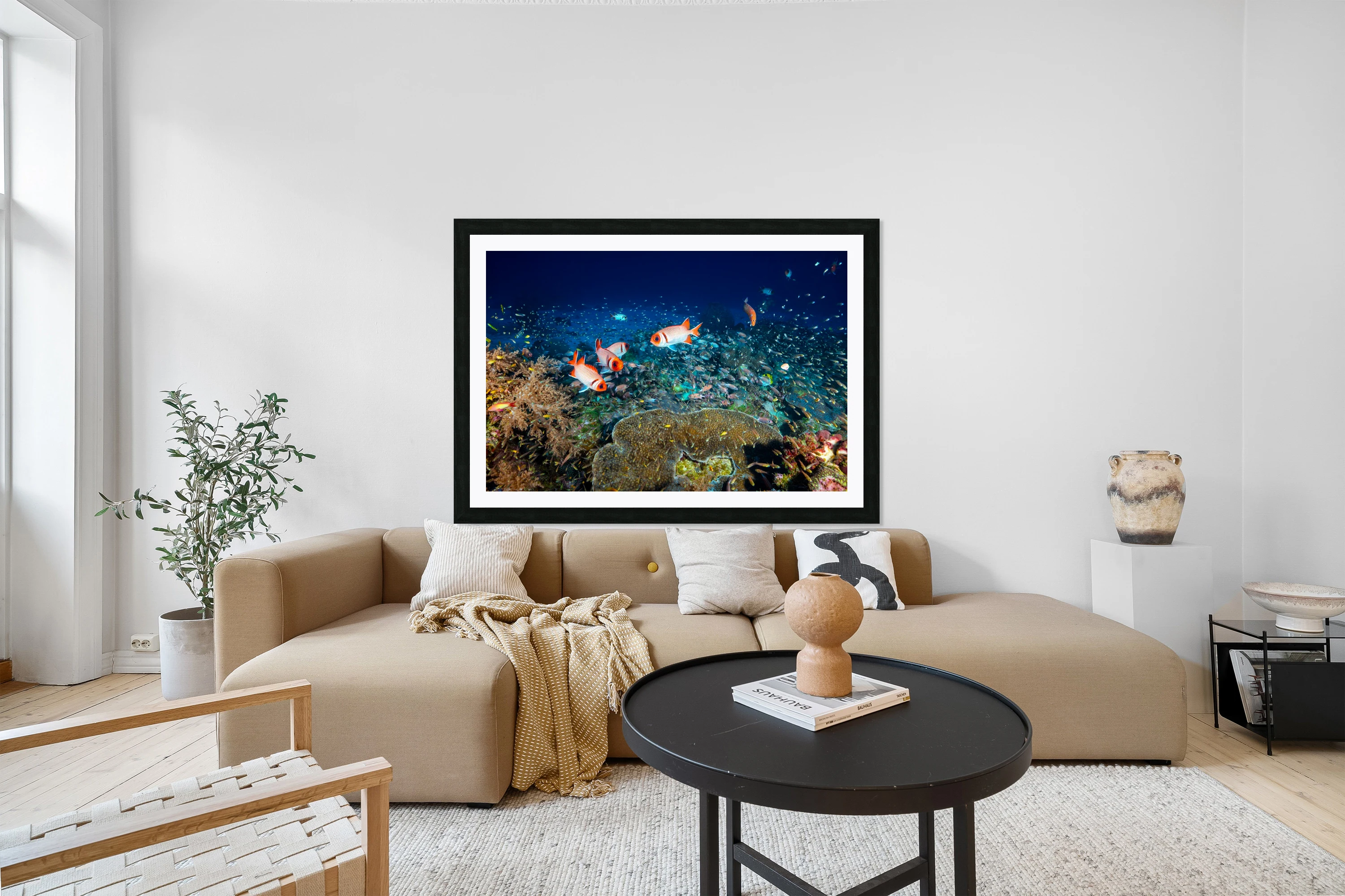 Reef life