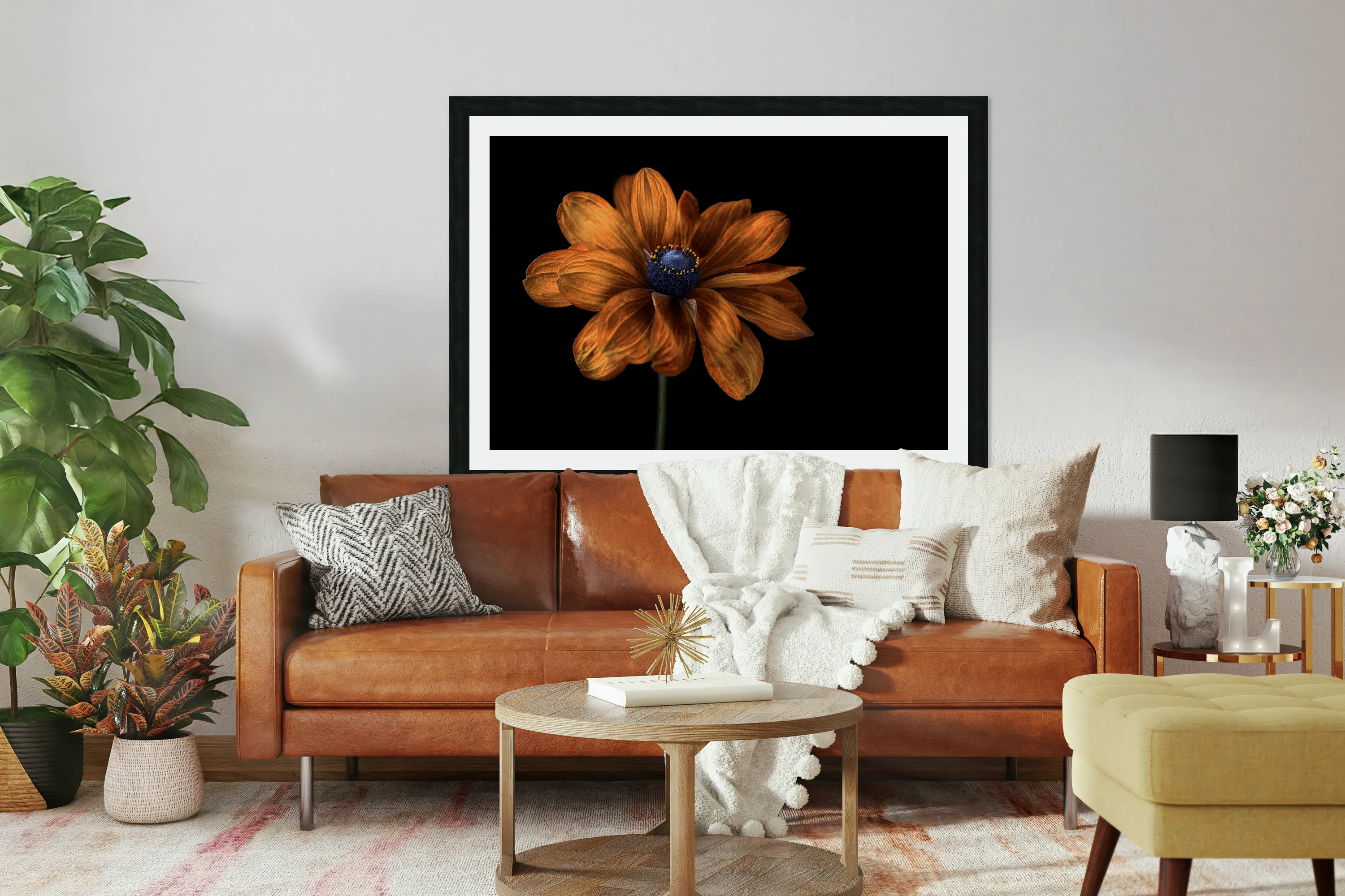 Rudbeckia