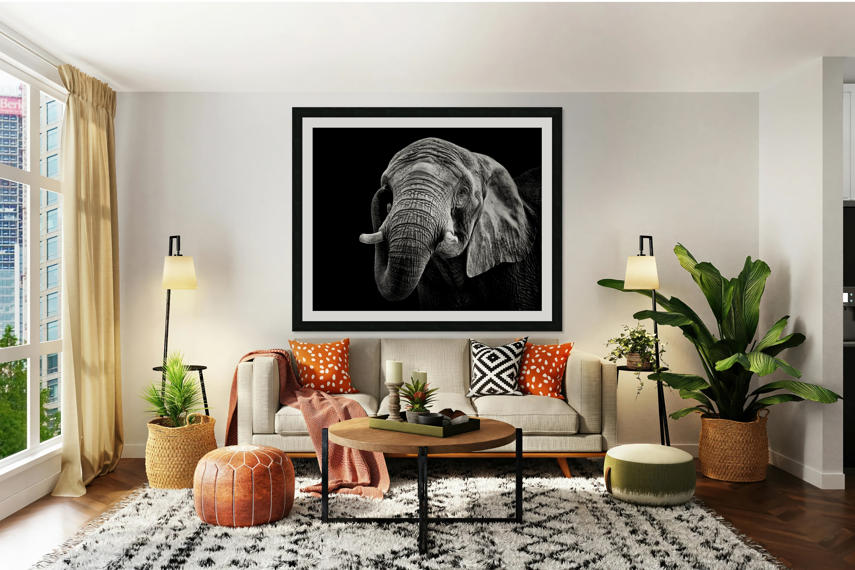 African Elephant