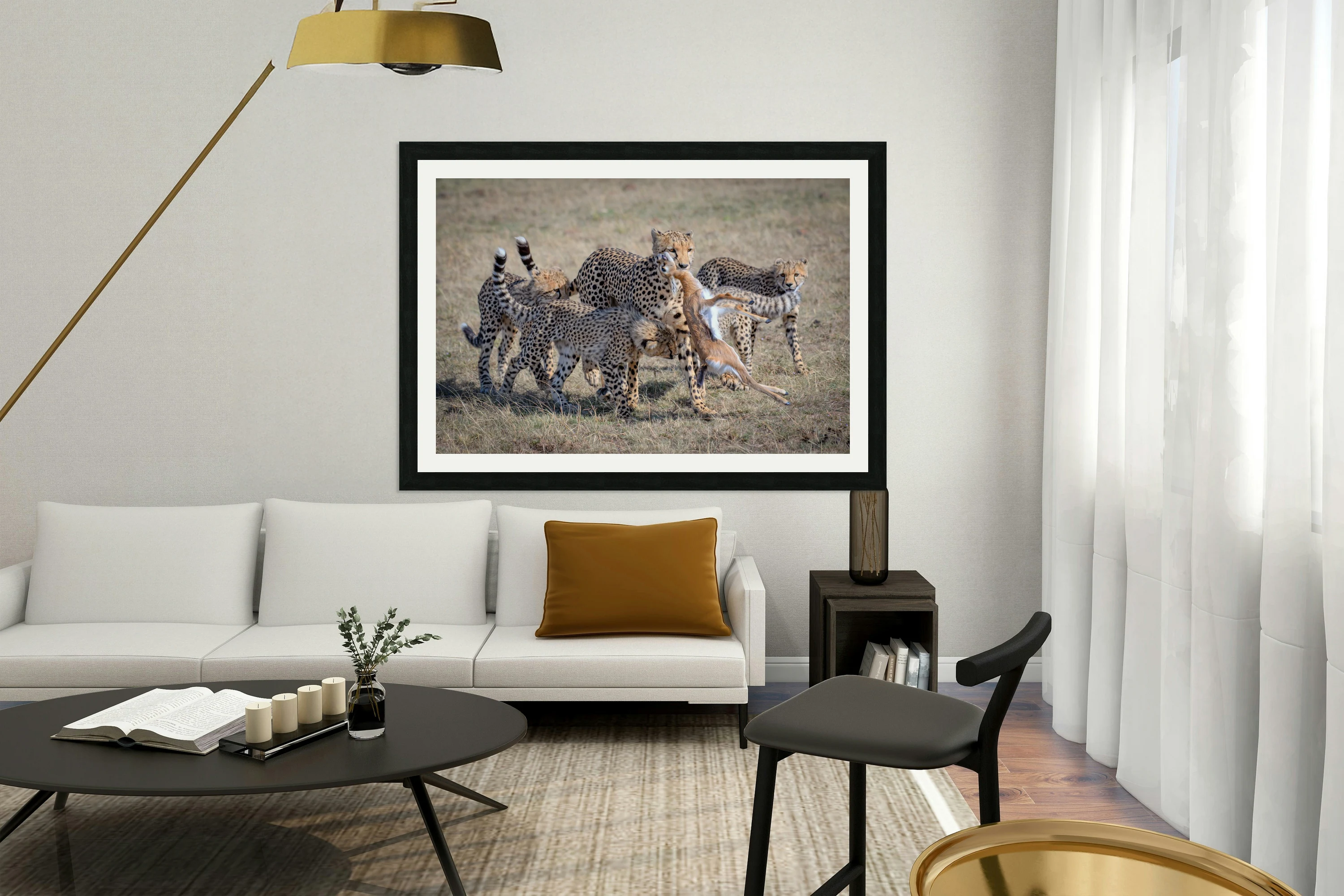 Cheetah Hunting