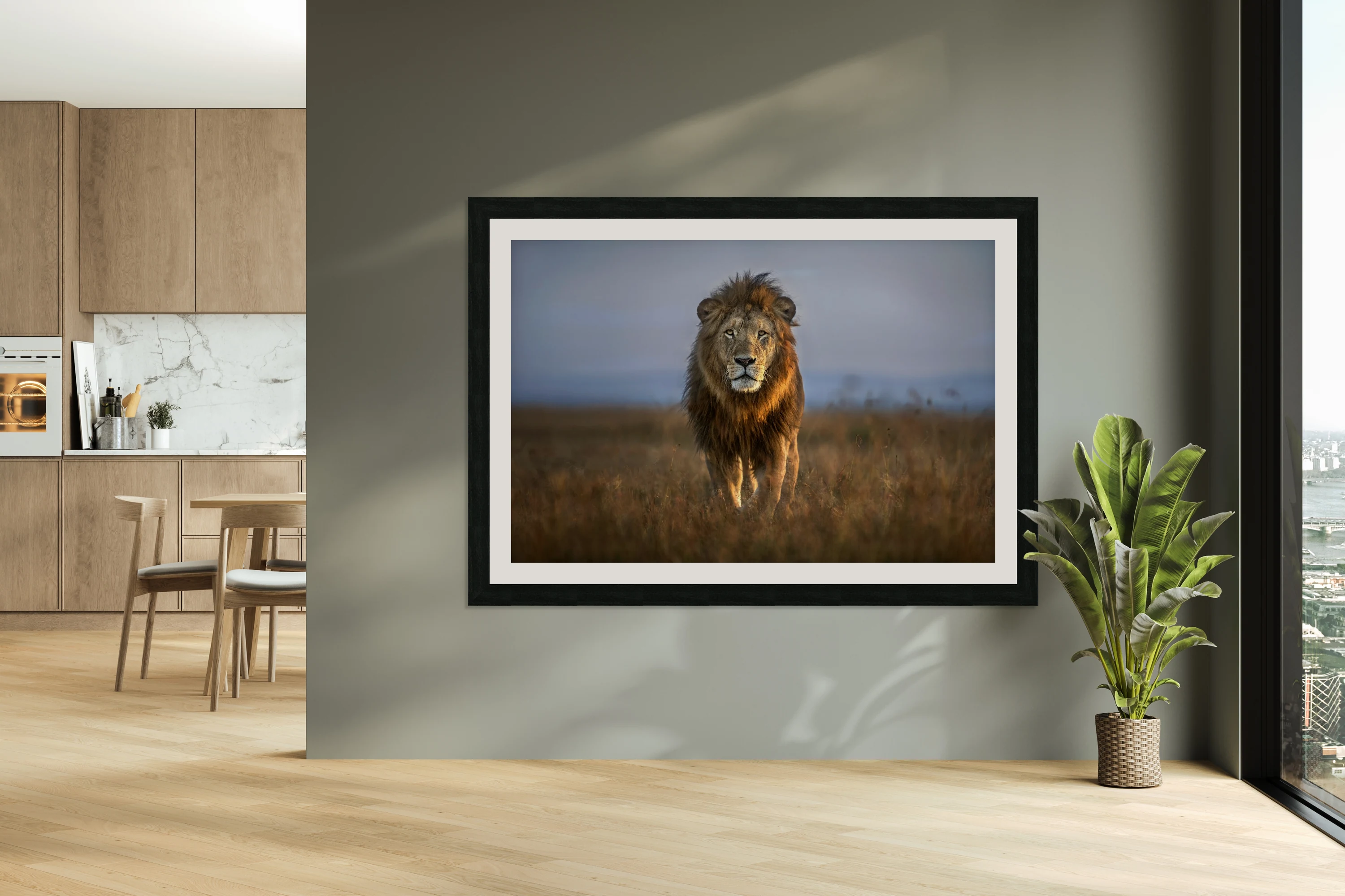 Lion Close Up