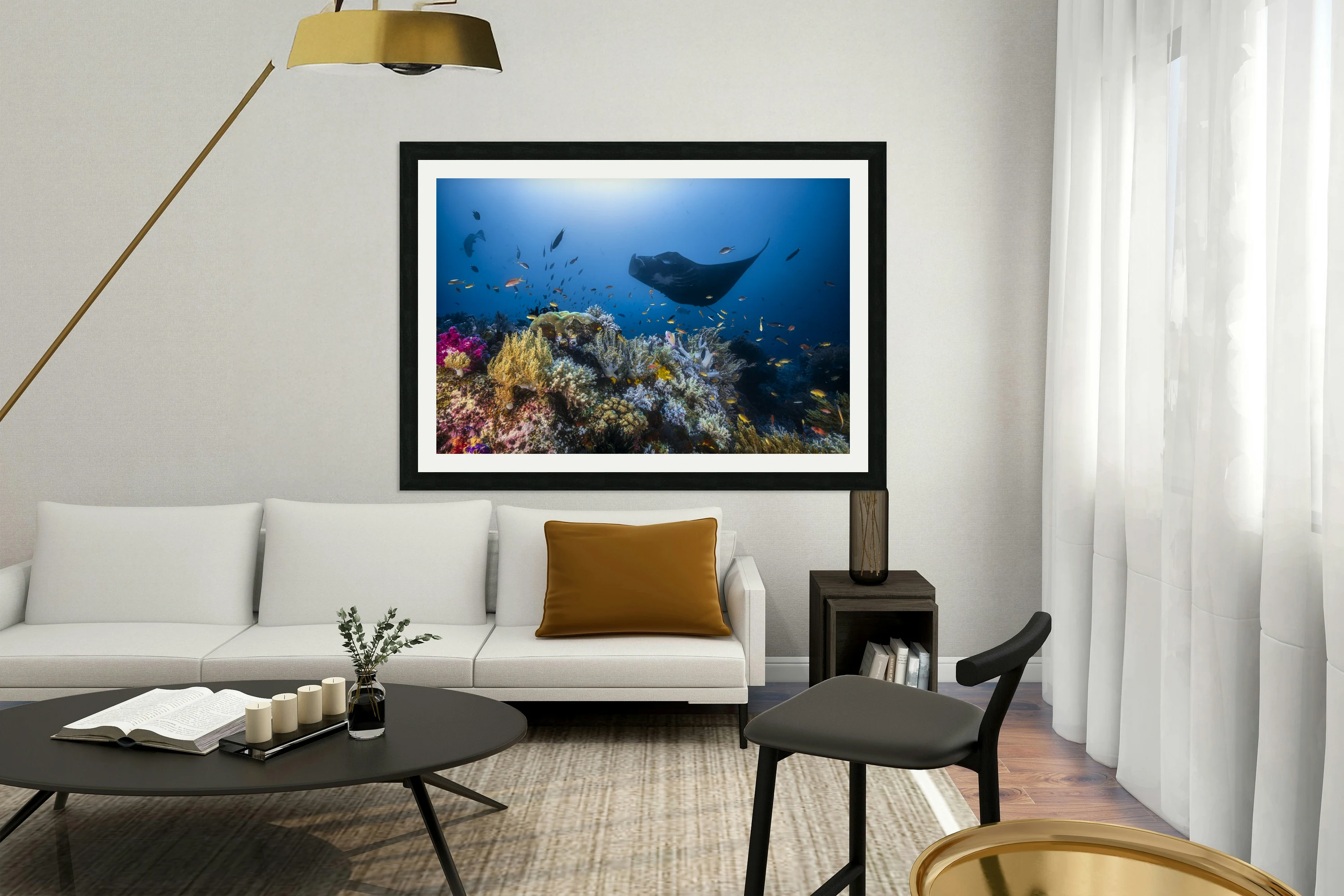 Manta reef on the reef