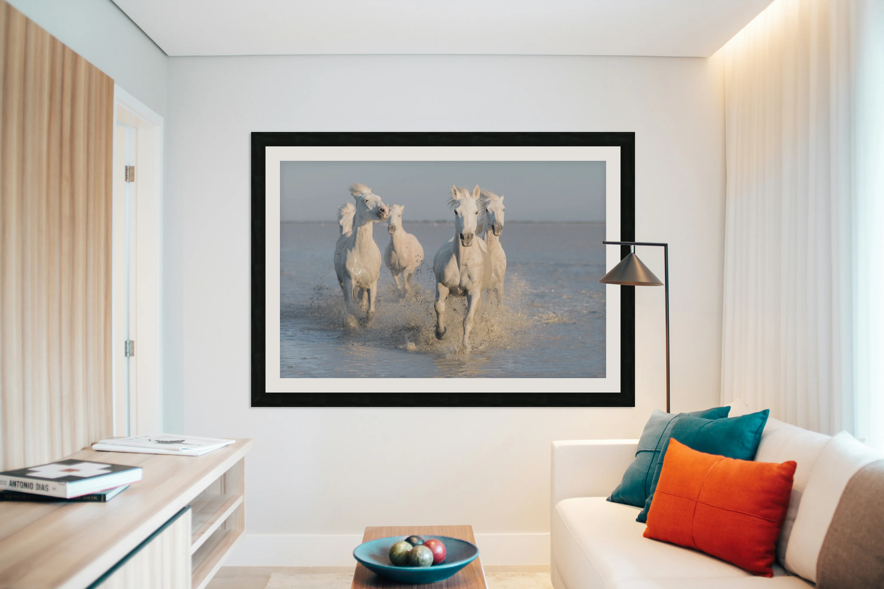 horses
