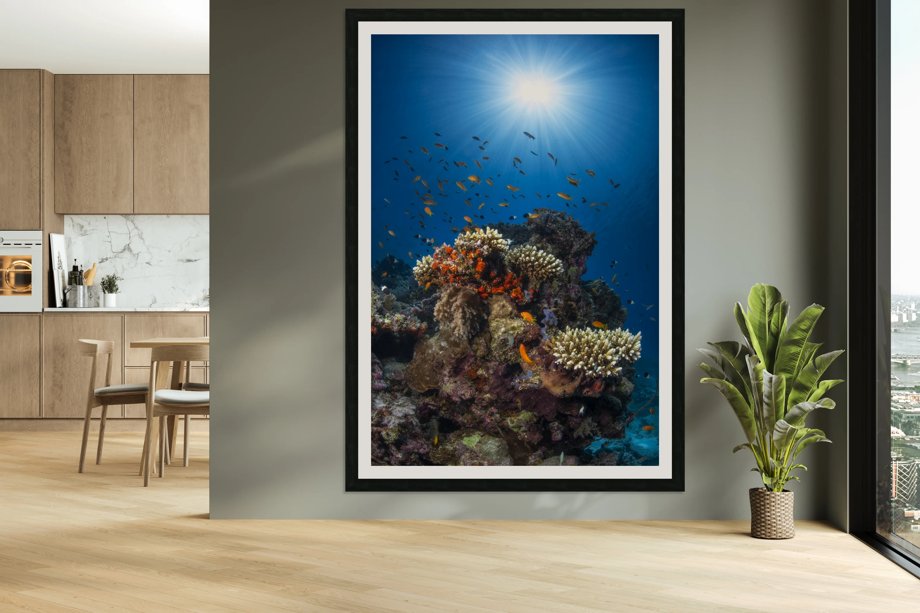 Reef and sunshine