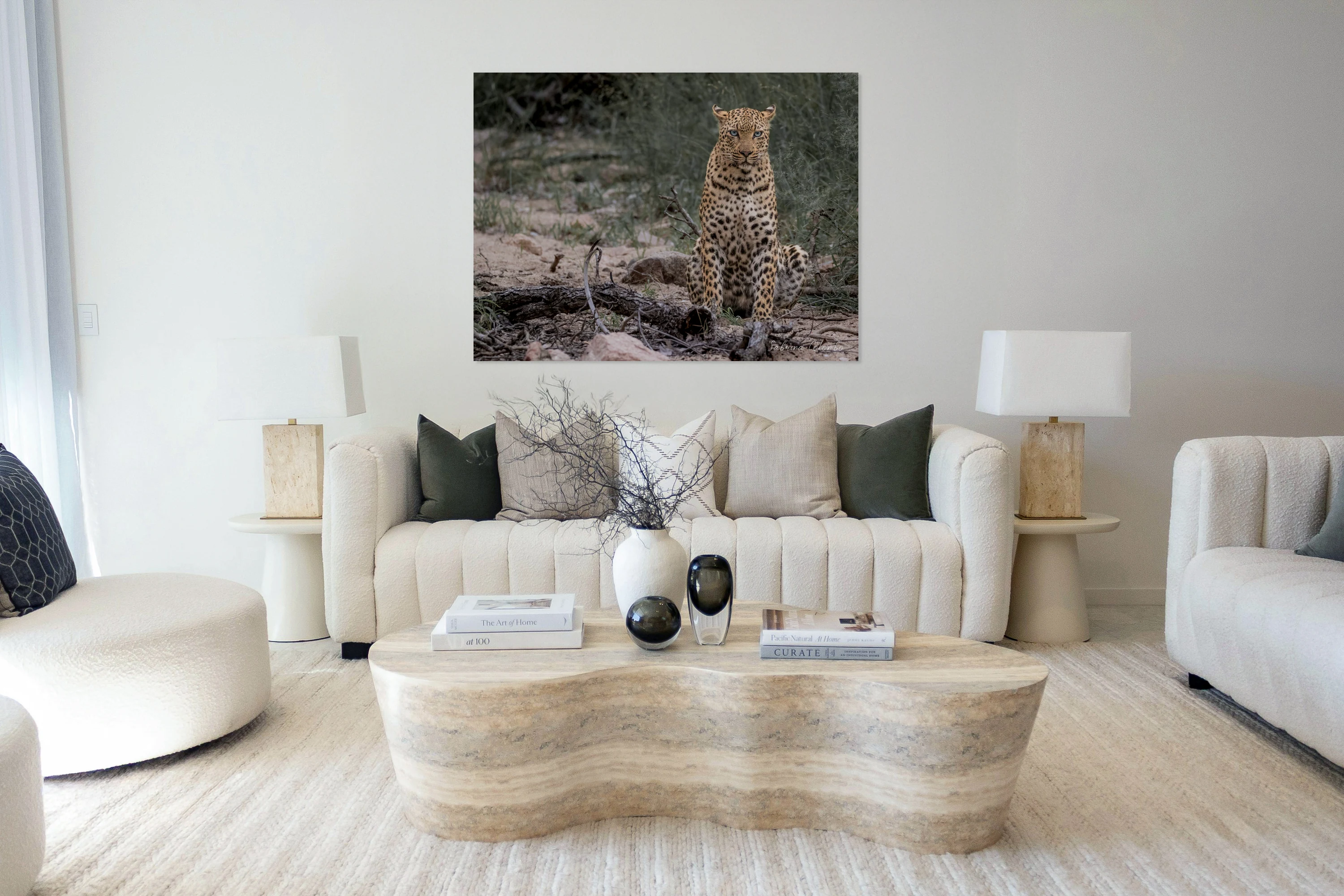 Leopard Female sitting