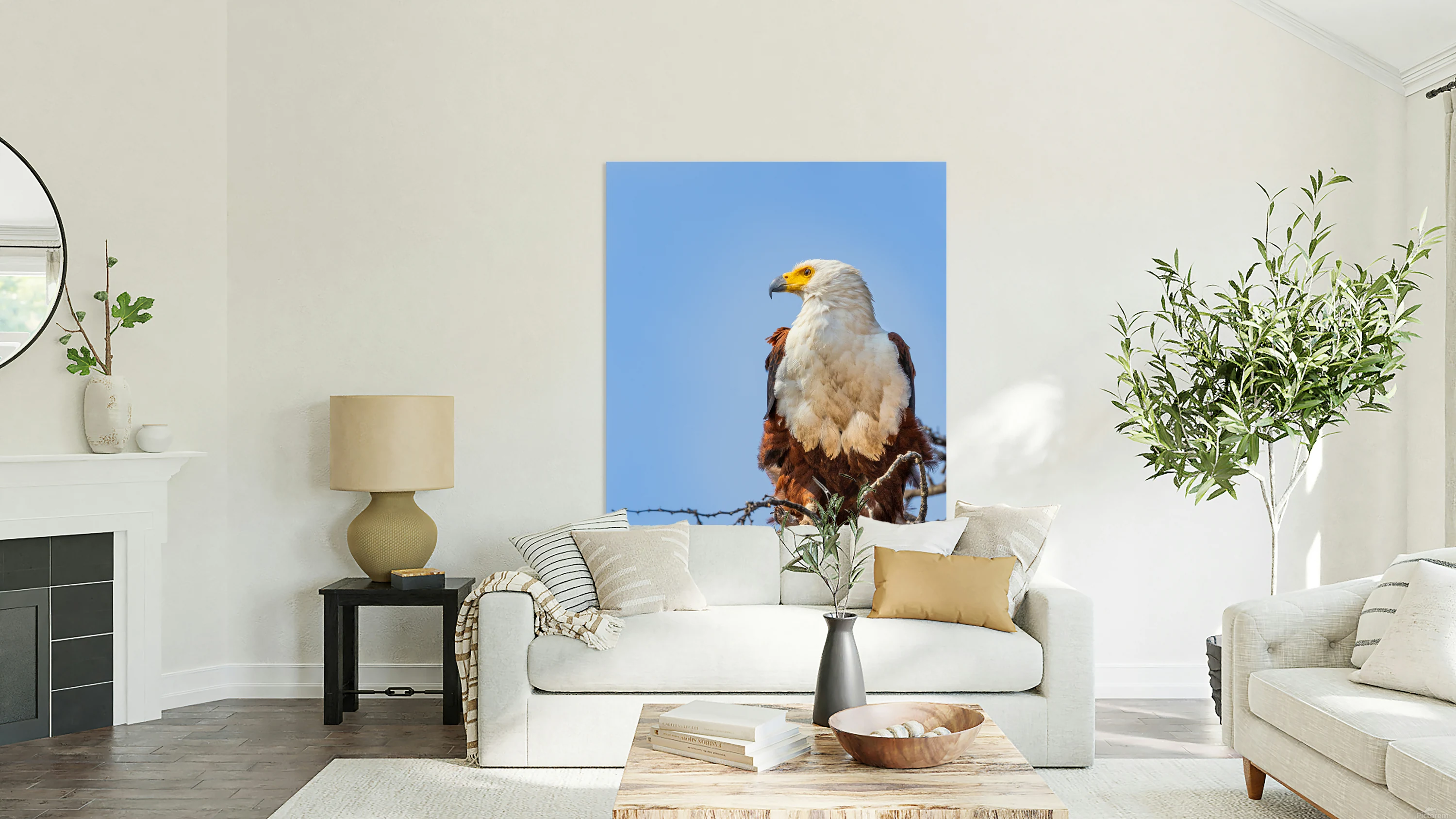 Fish Eagle portrait
