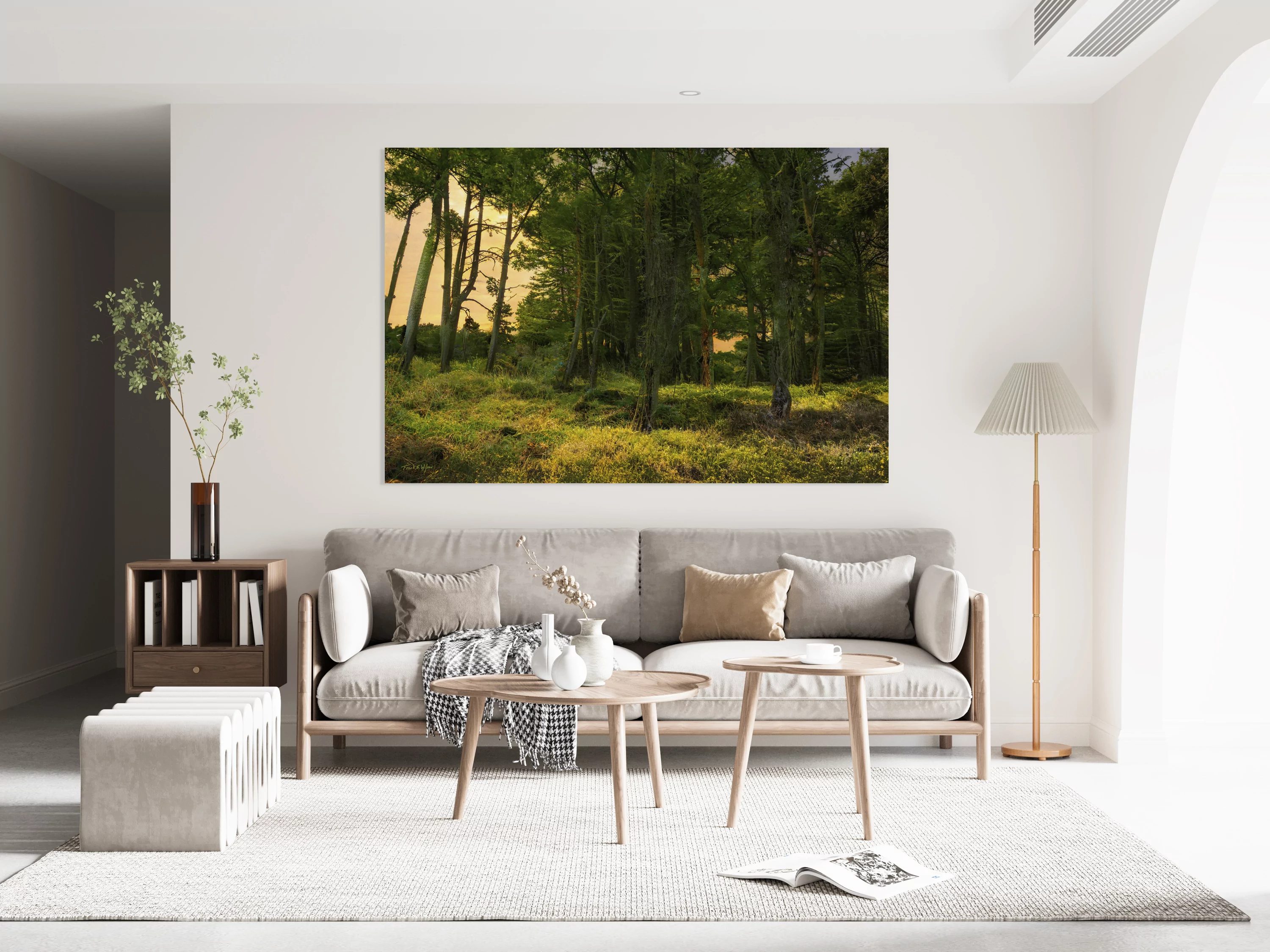 Coastal Forest D