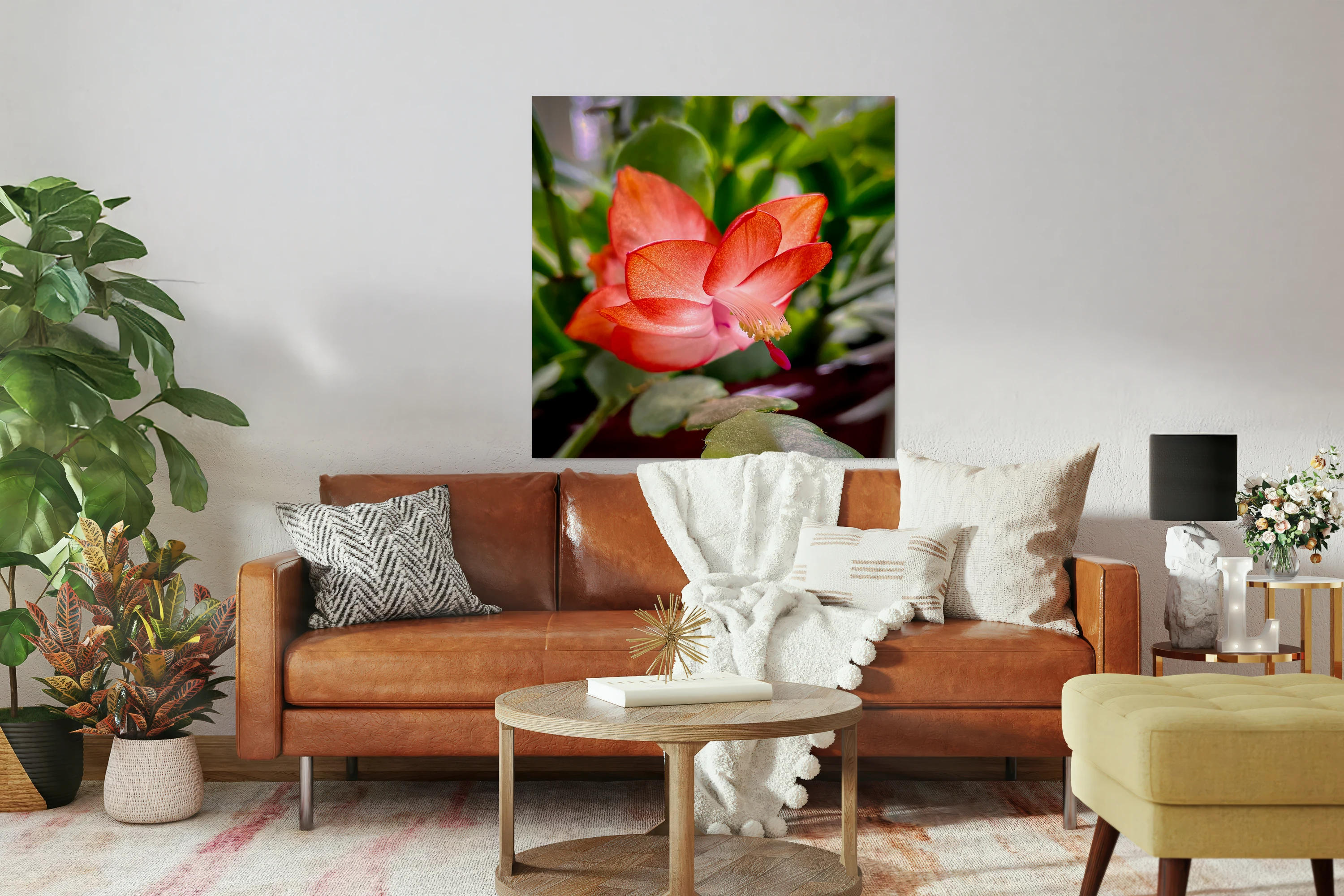 Christmas Easter Cactus 2837