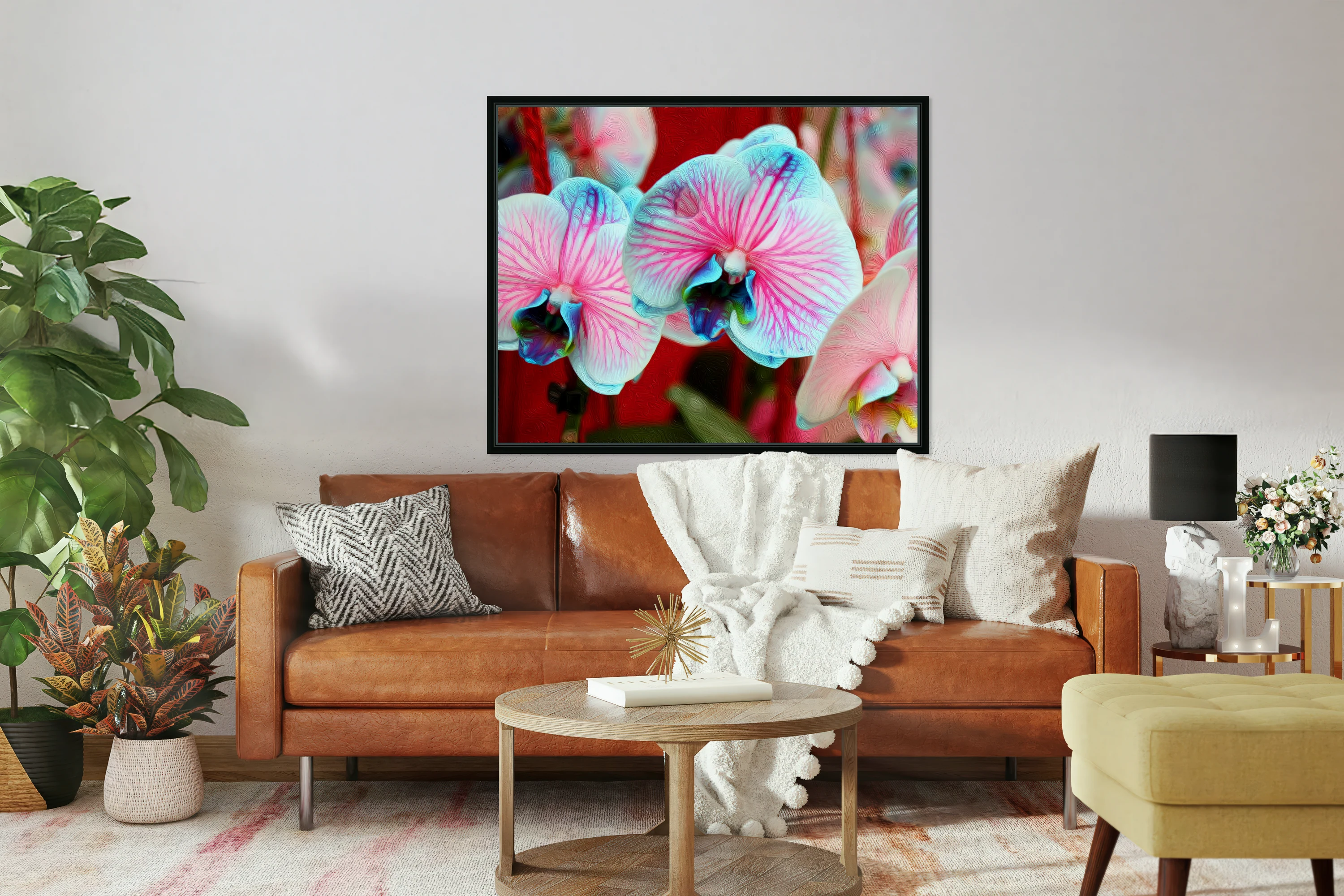 Orchid 6
