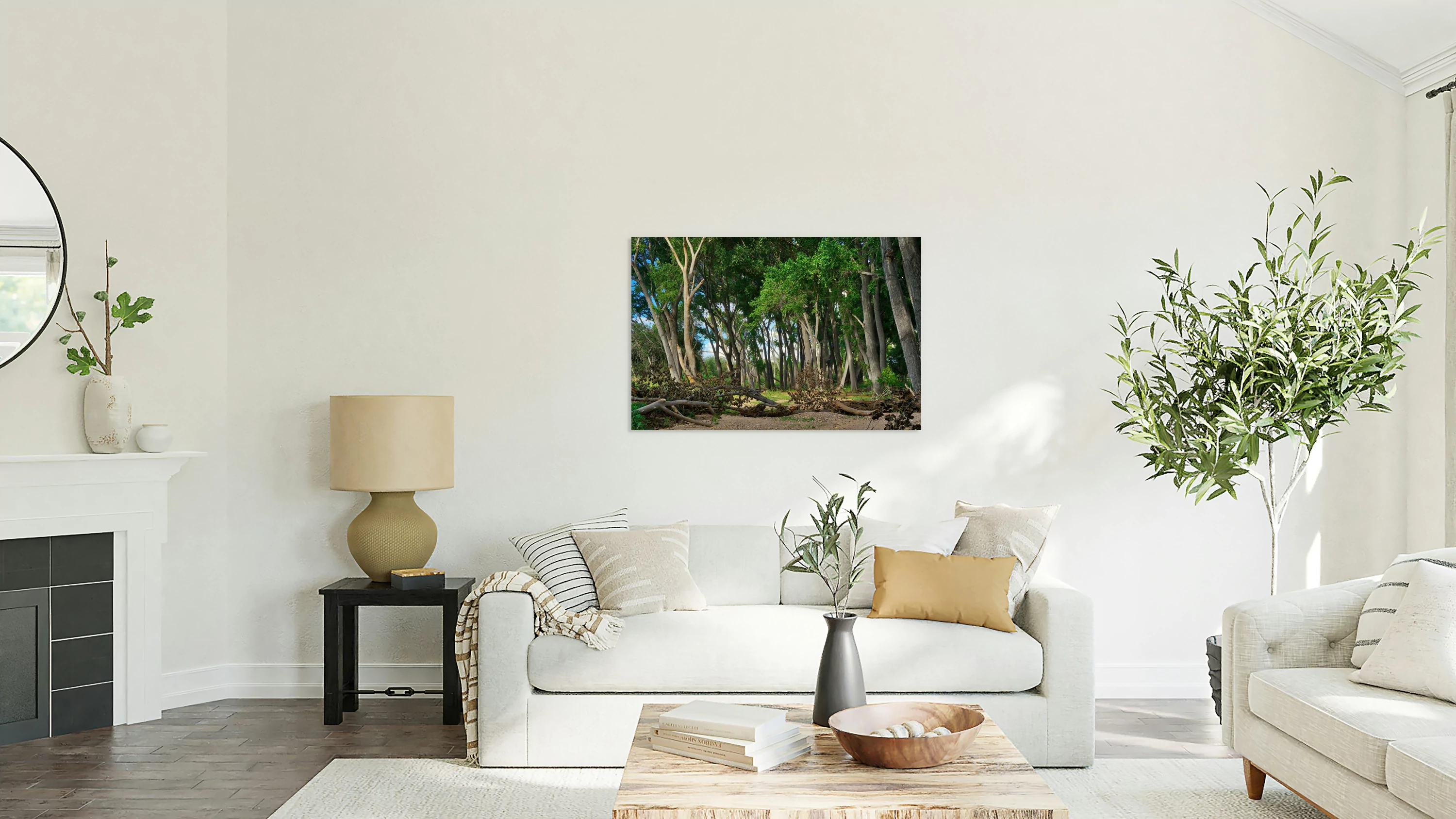 Oak Tree Canyon Arboleda
