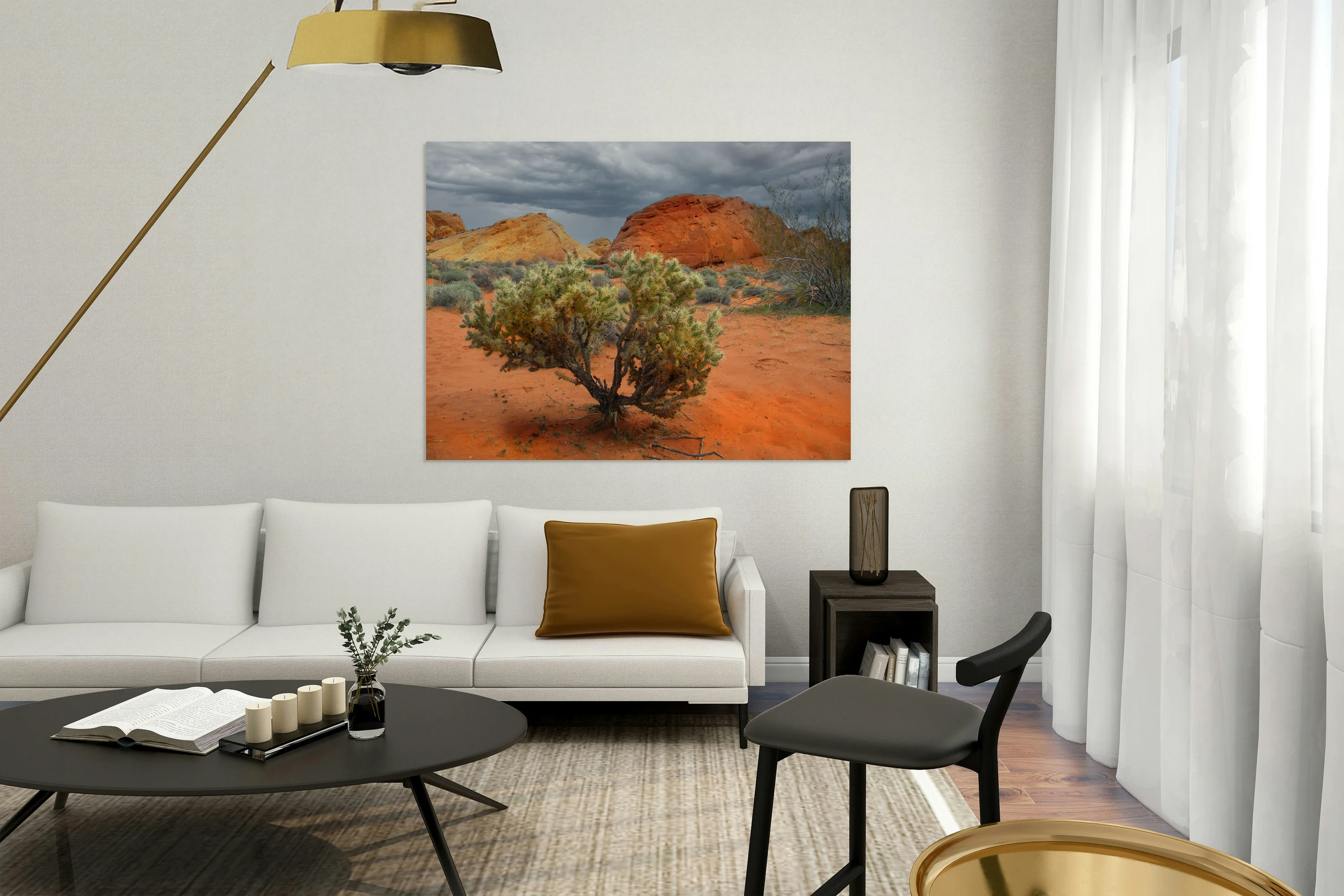 Desert Cholla Cactus