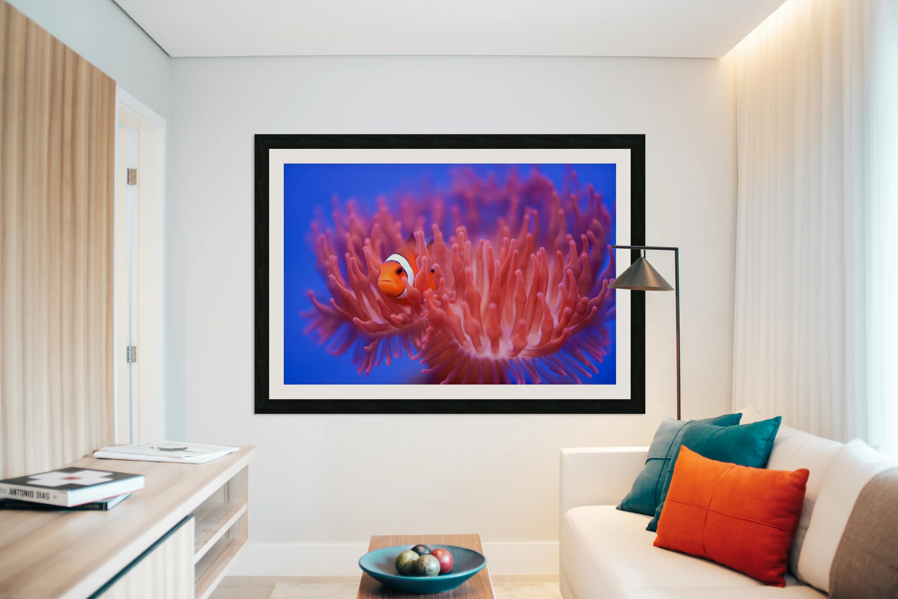 Finding Nemo