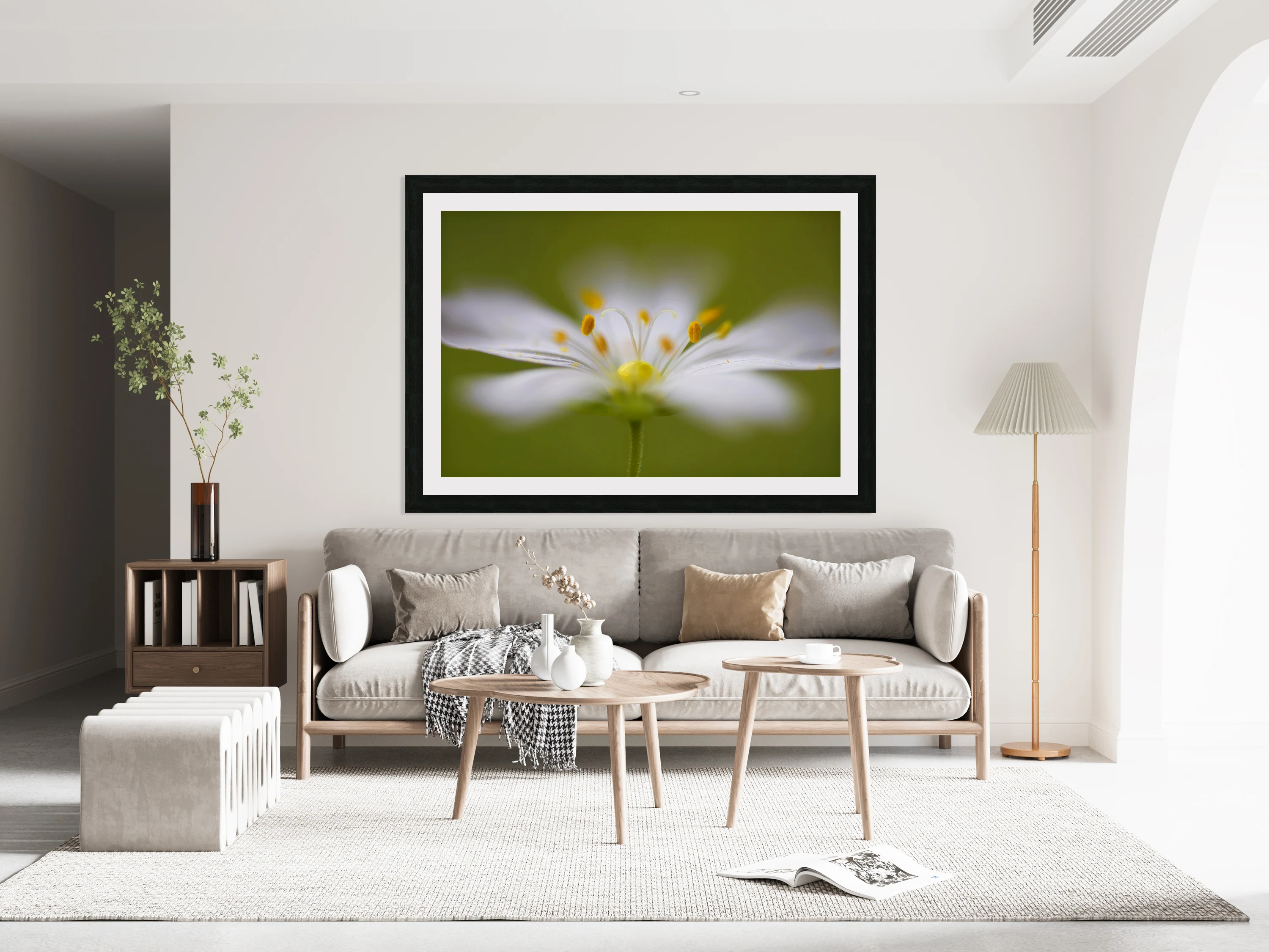 Softly Stitchwort