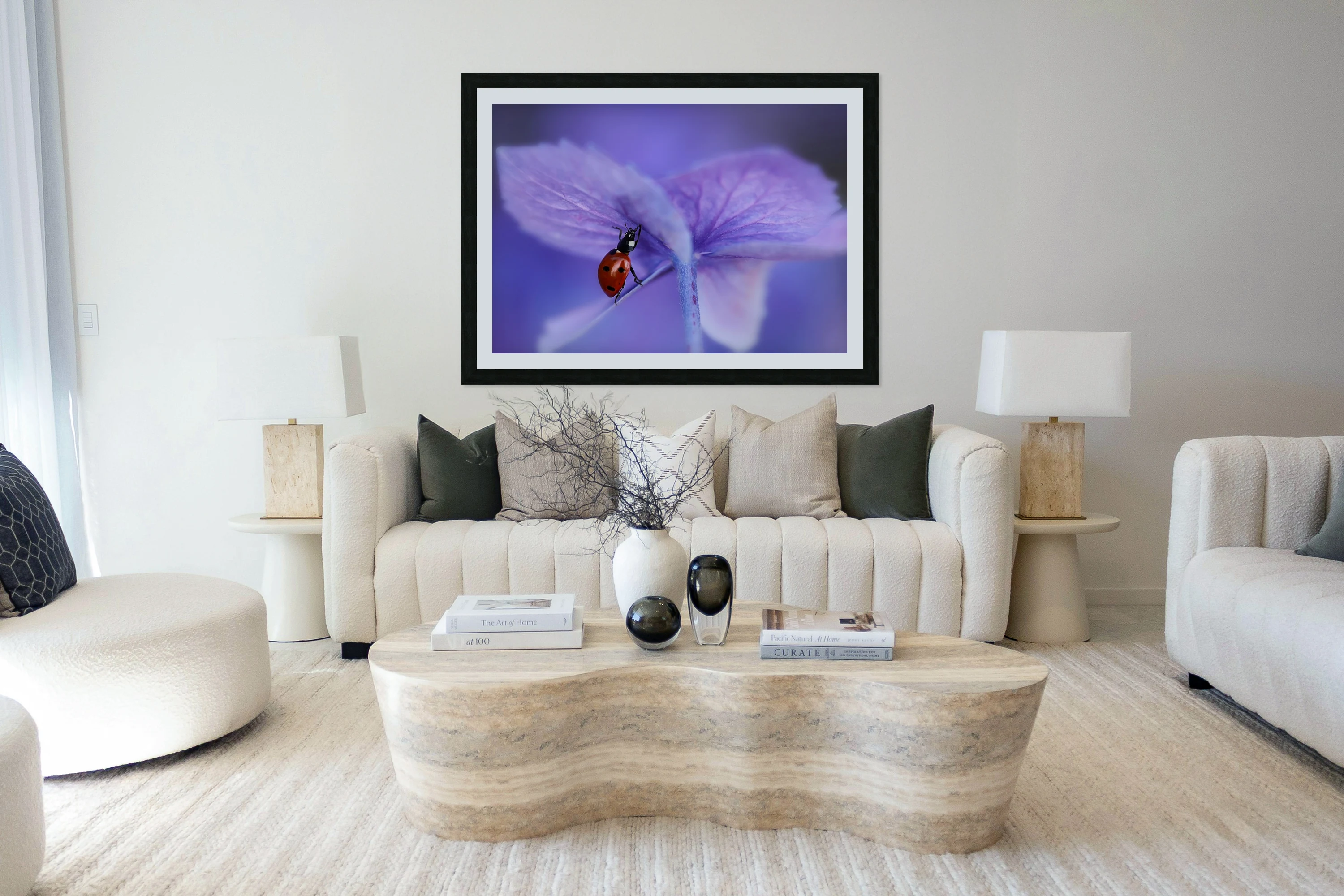 Ladybird on purple hydrangea
