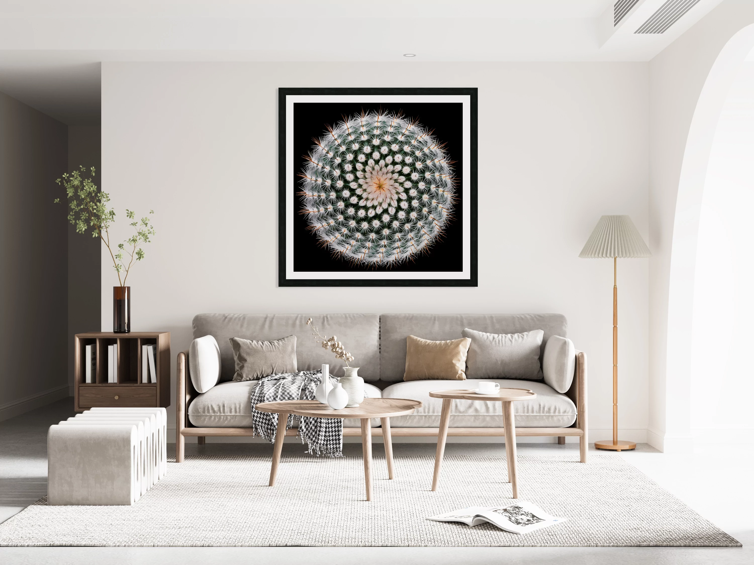 Notocactus scopa