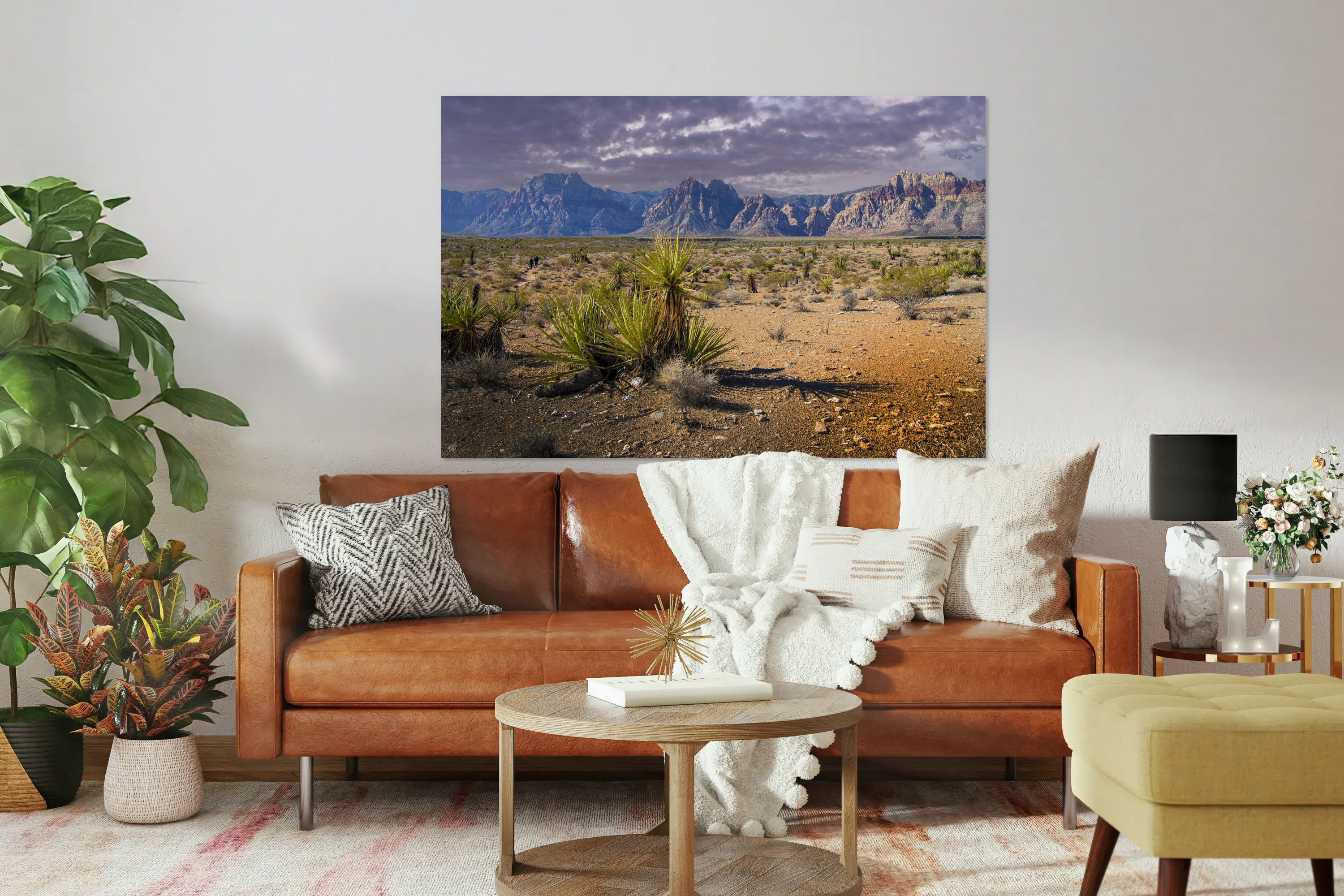 Desert Yucca Plants