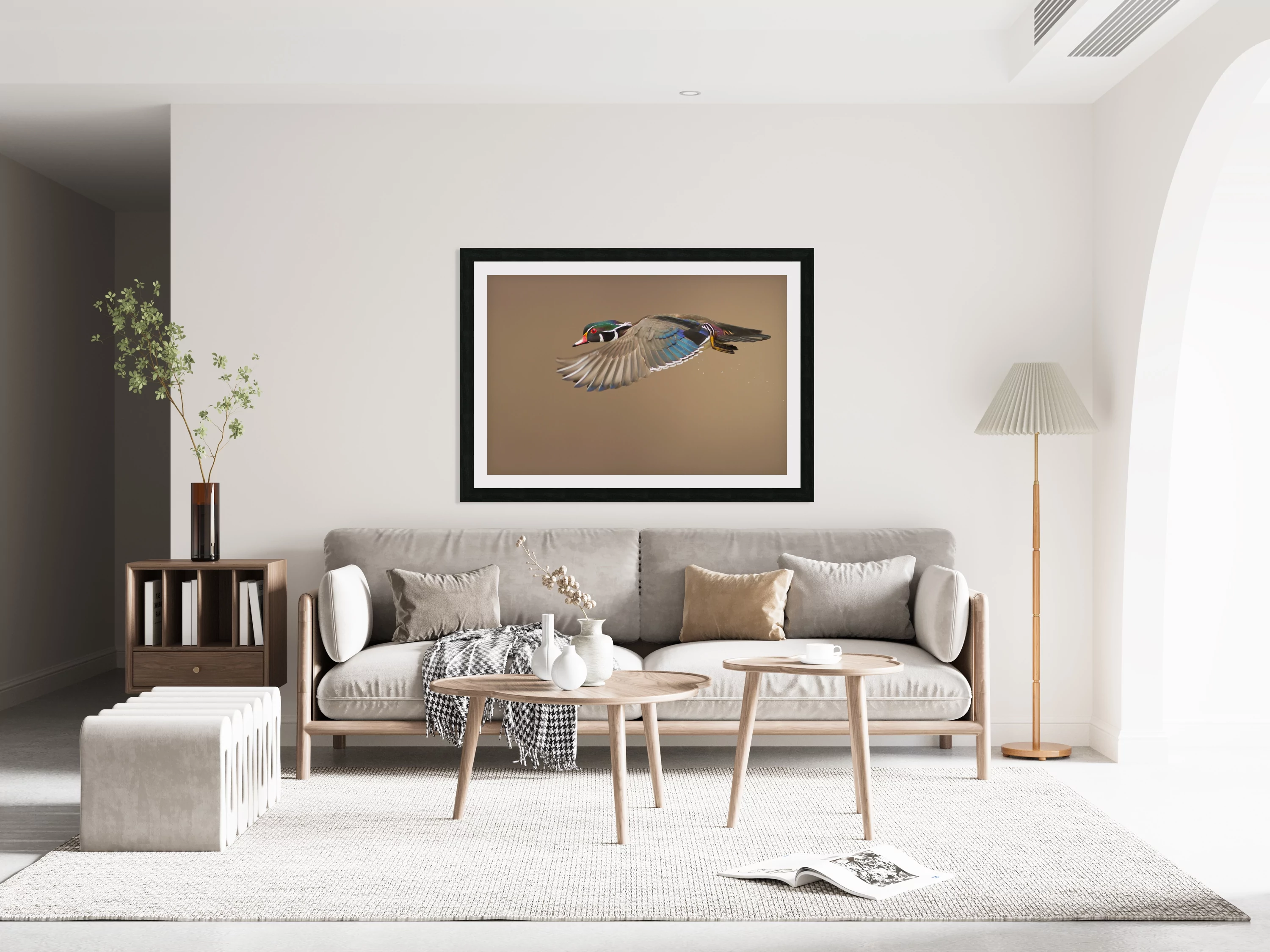 Wood Duck