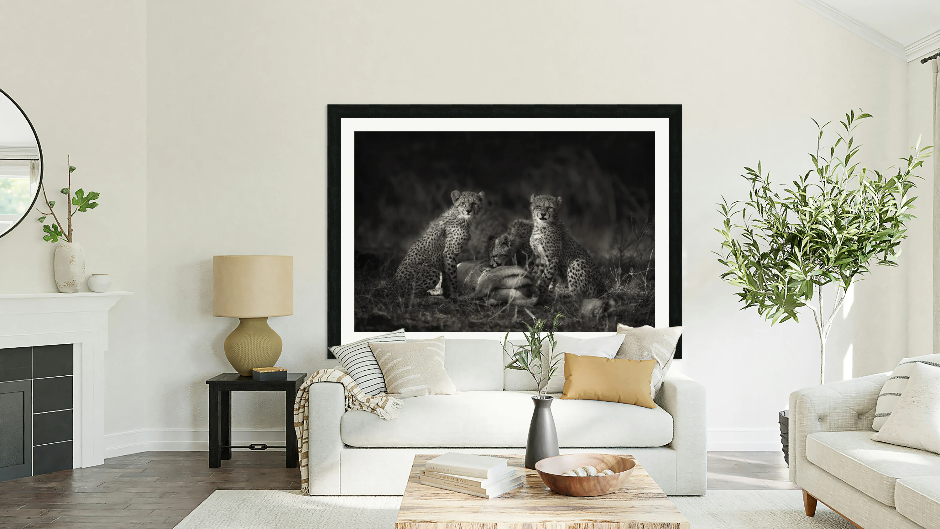 Cheetah Cubs