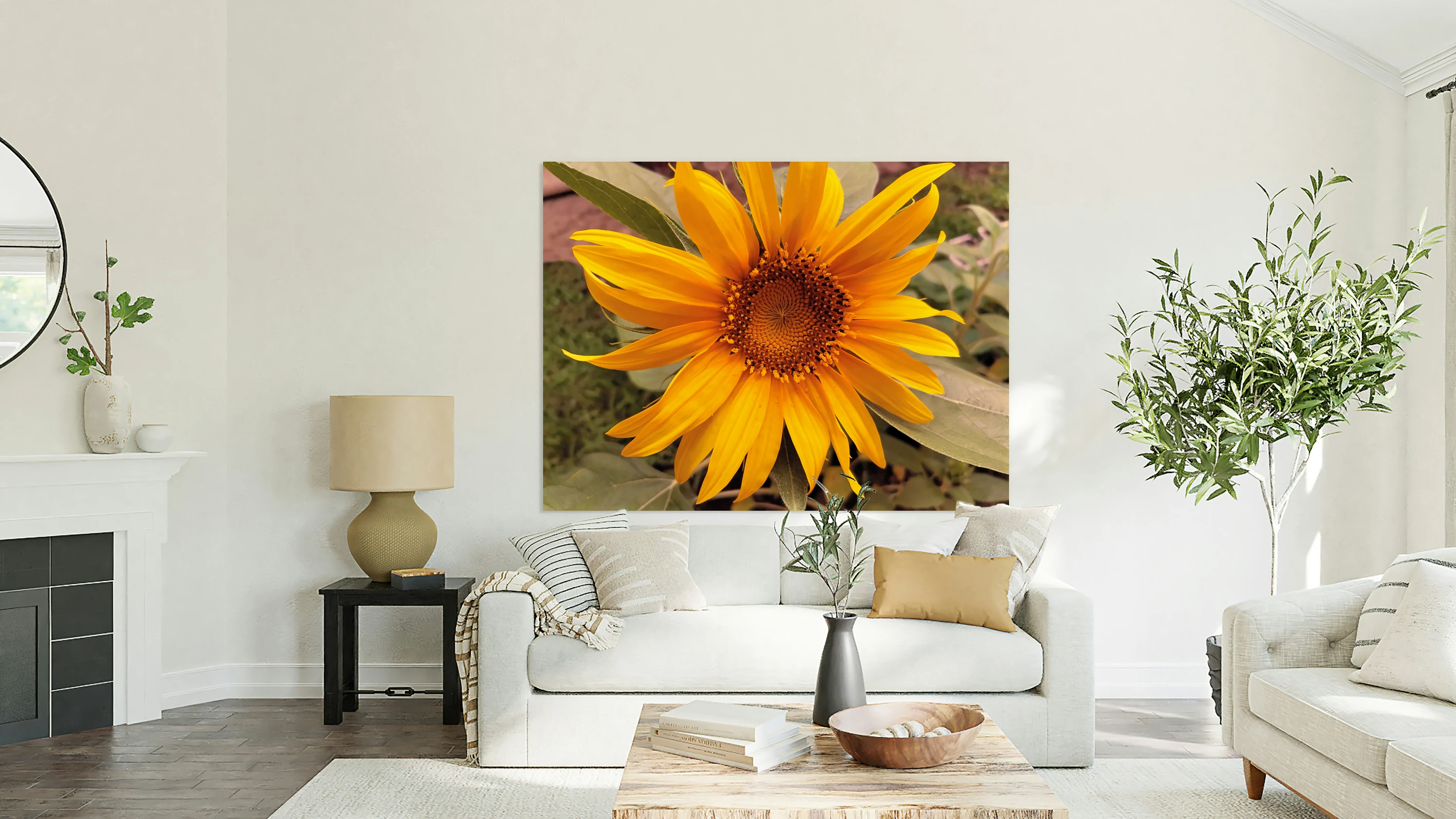 Juvenile Sunflower