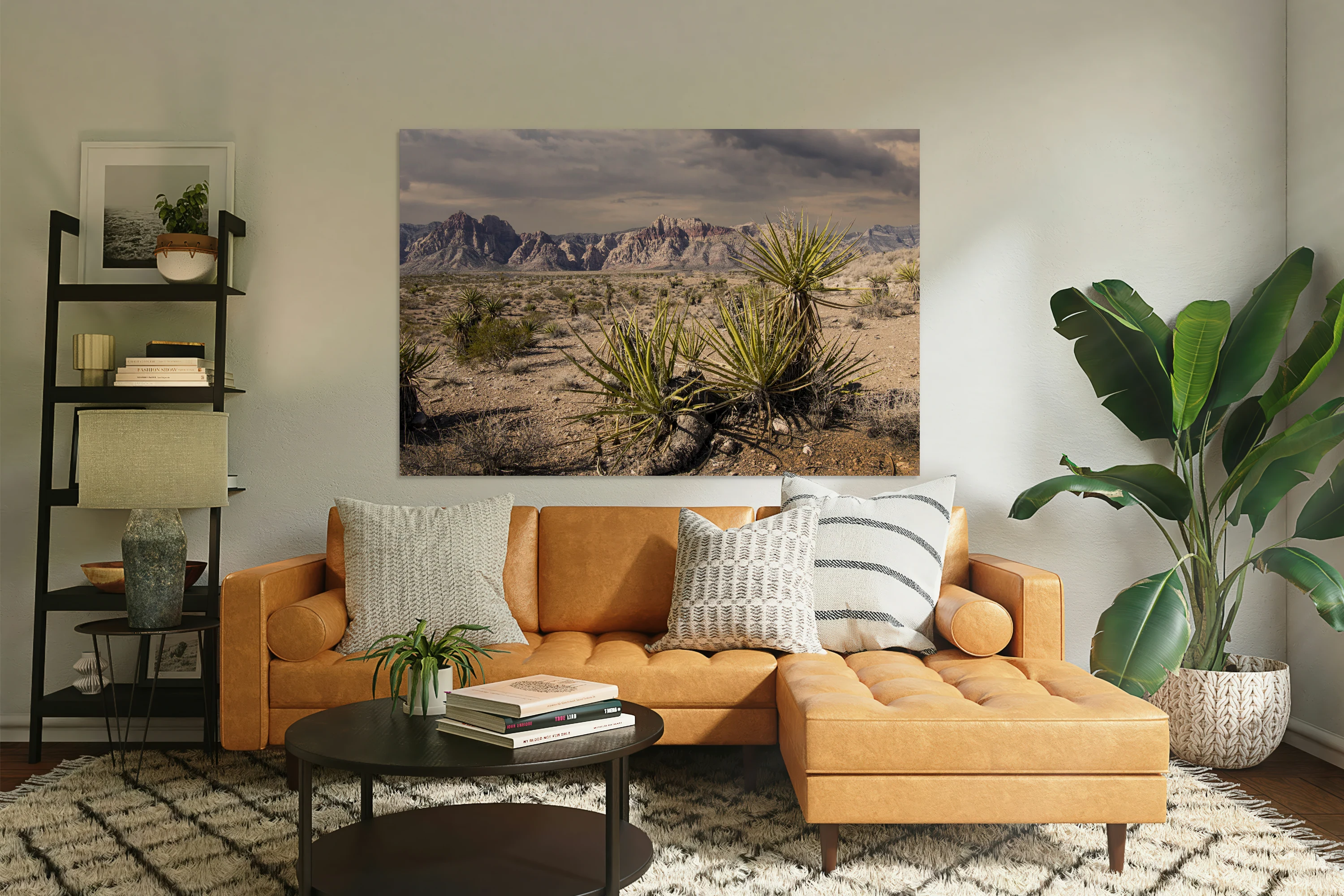 Arid Desert