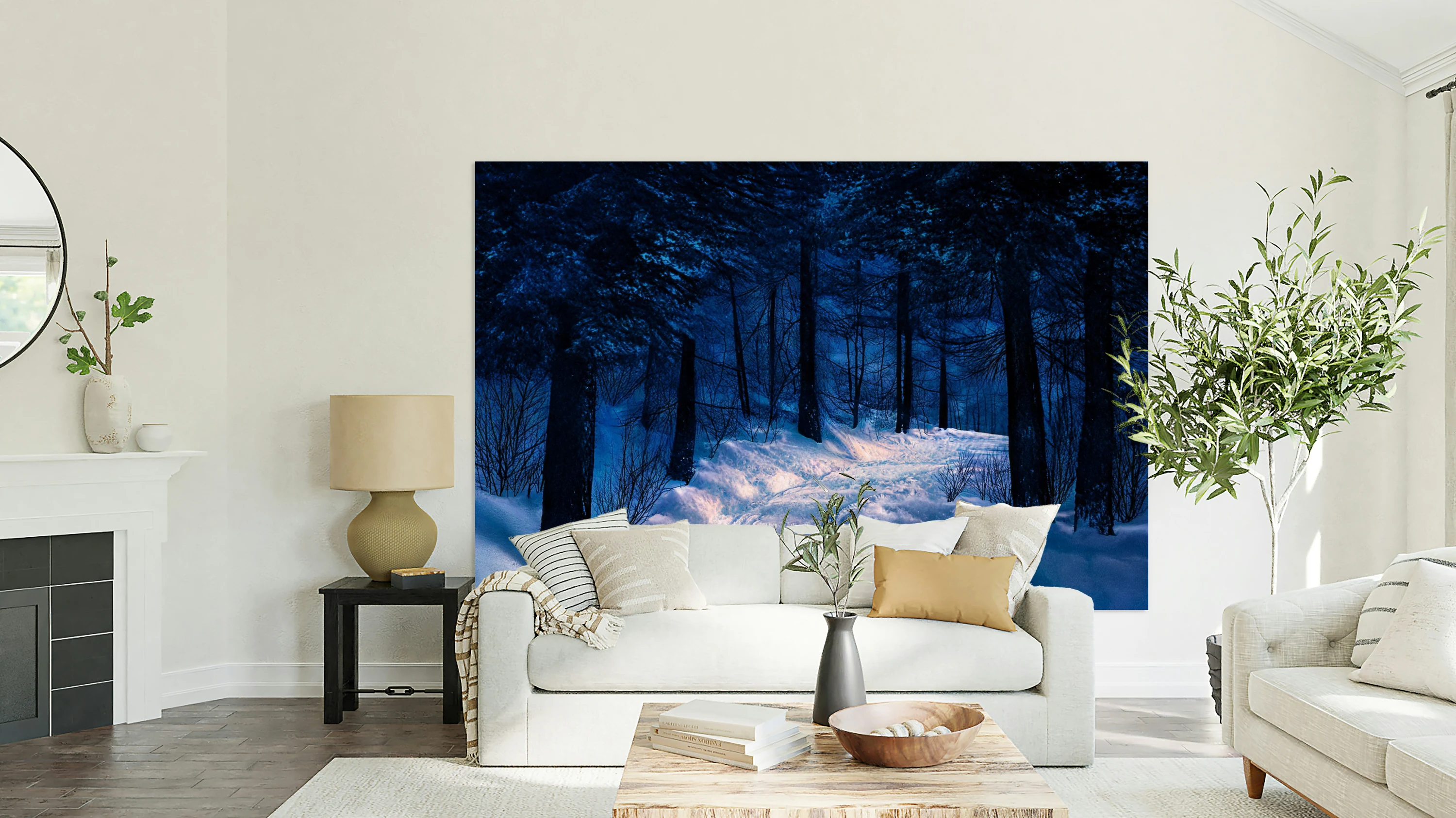 FOREST ROAD NIGHT