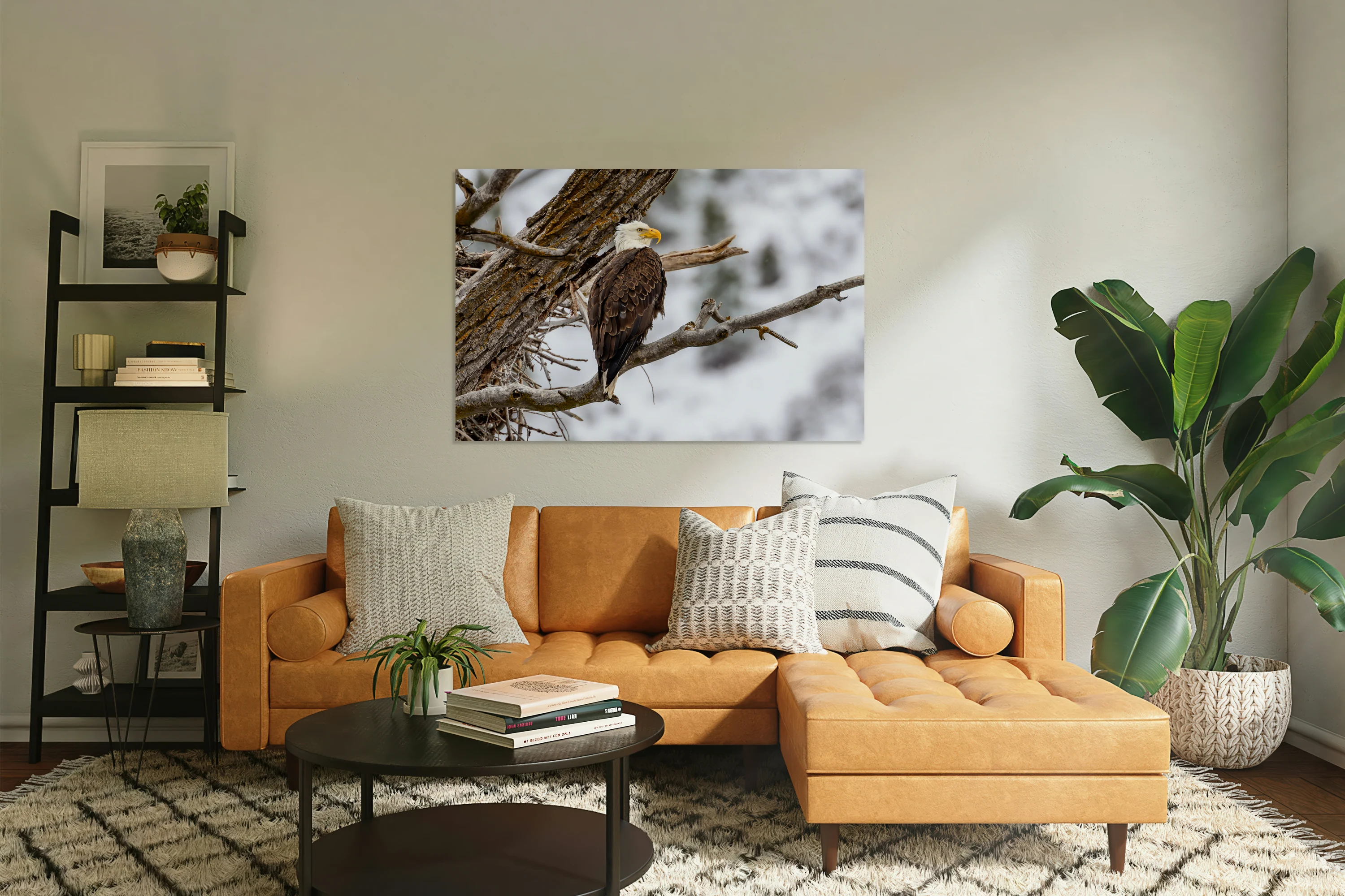 Bald Eagle